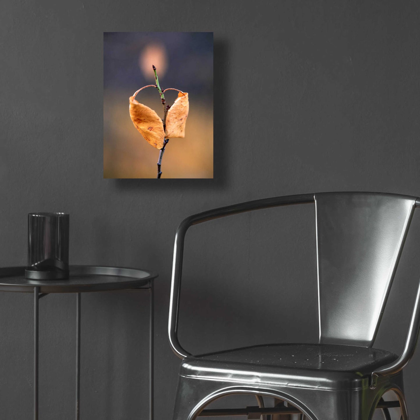 Epic Art 'Candle Plant' by Thomas Haney, Acrylic Glass Wall Art,12x16