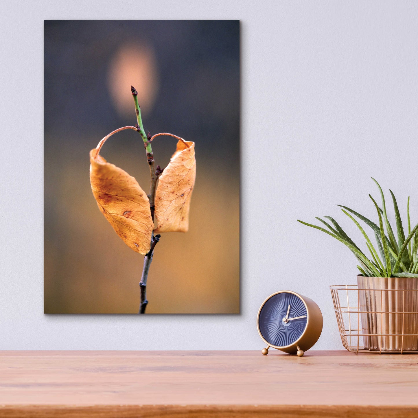 Epic Art 'Candle Plant' by Thomas Haney, Acrylic Glass Wall Art,12x16