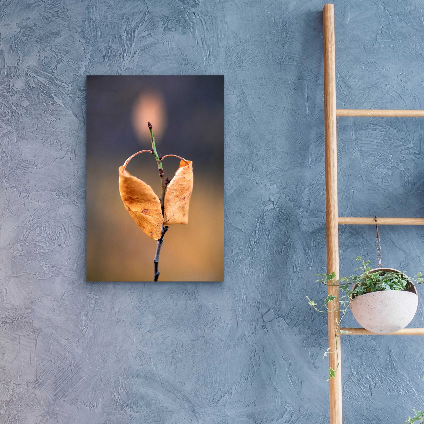 Epic Art 'Candle Plant' by Thomas Haney, Acrylic Glass Wall Art,16x24