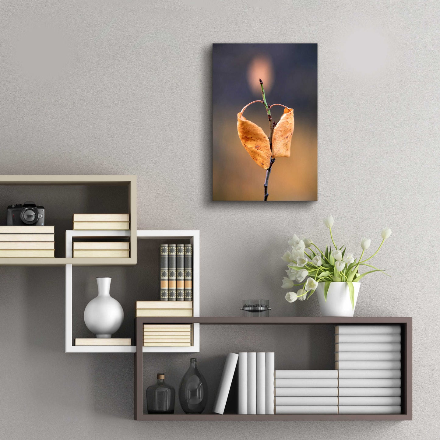 Epic Art 'Candle Plant' by Thomas Haney, Acrylic Glass Wall Art,16x24