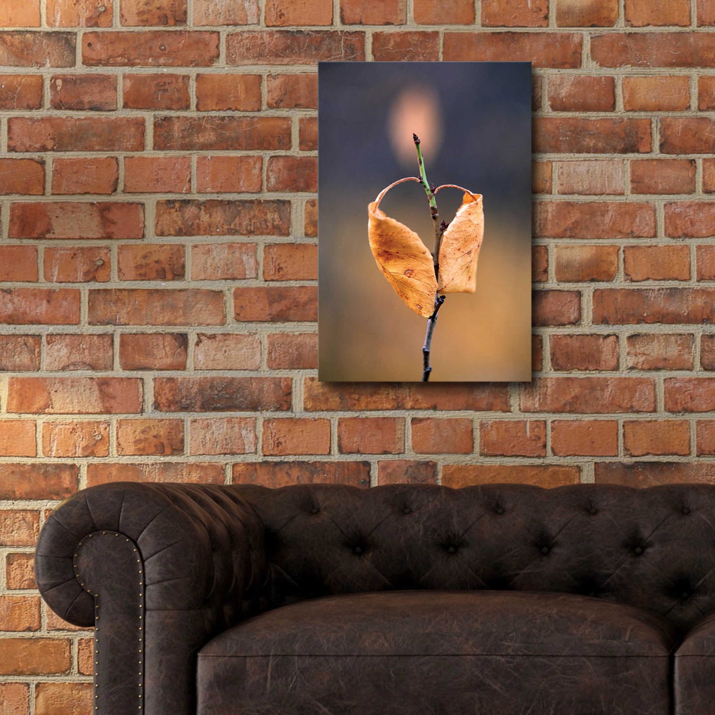 Epic Art 'Candle Plant' by Thomas Haney, Acrylic Glass Wall Art,16x24