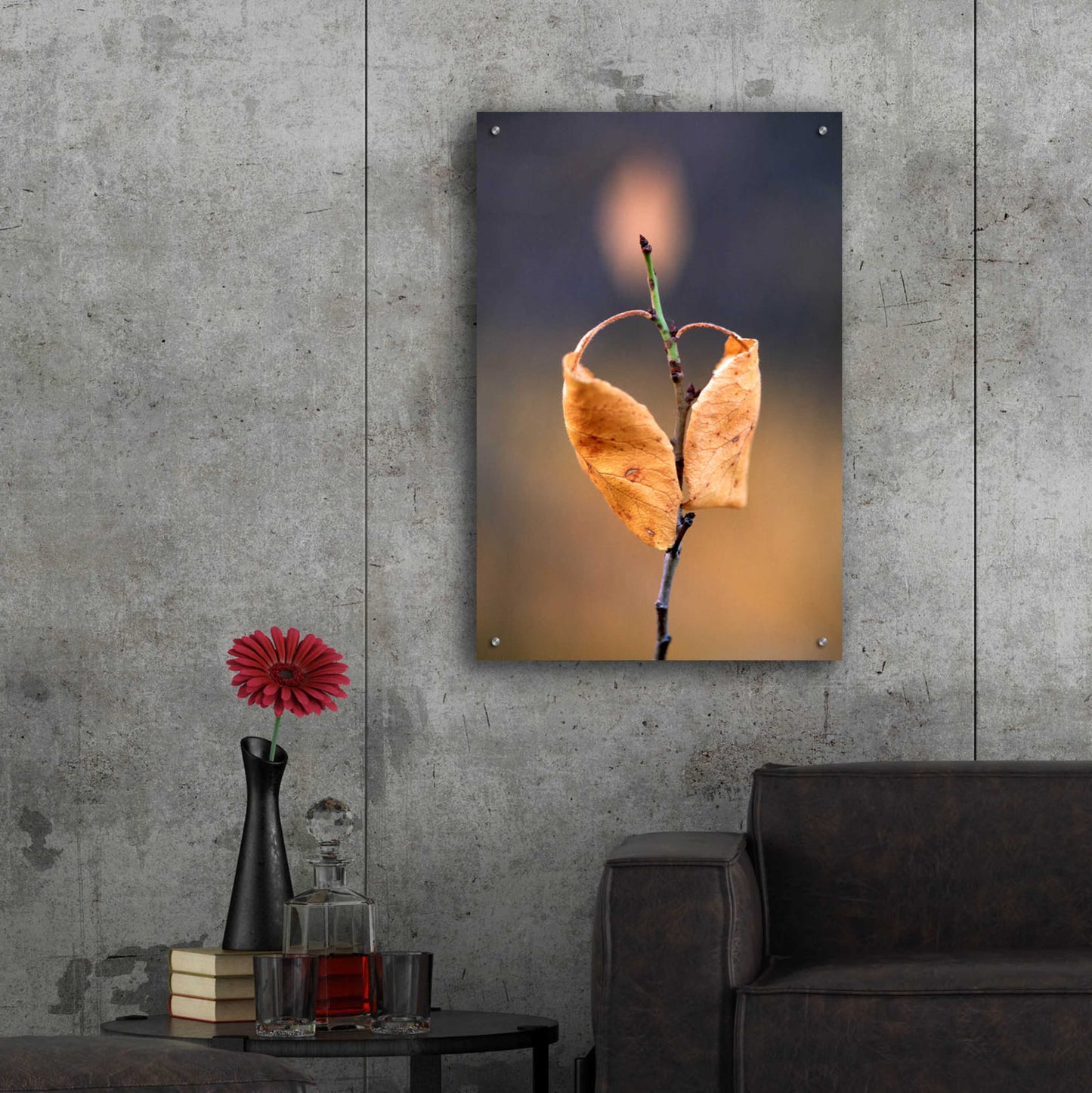 Epic Art 'Candle Plant' by Thomas Haney, Acrylic Glass Wall Art,24x36