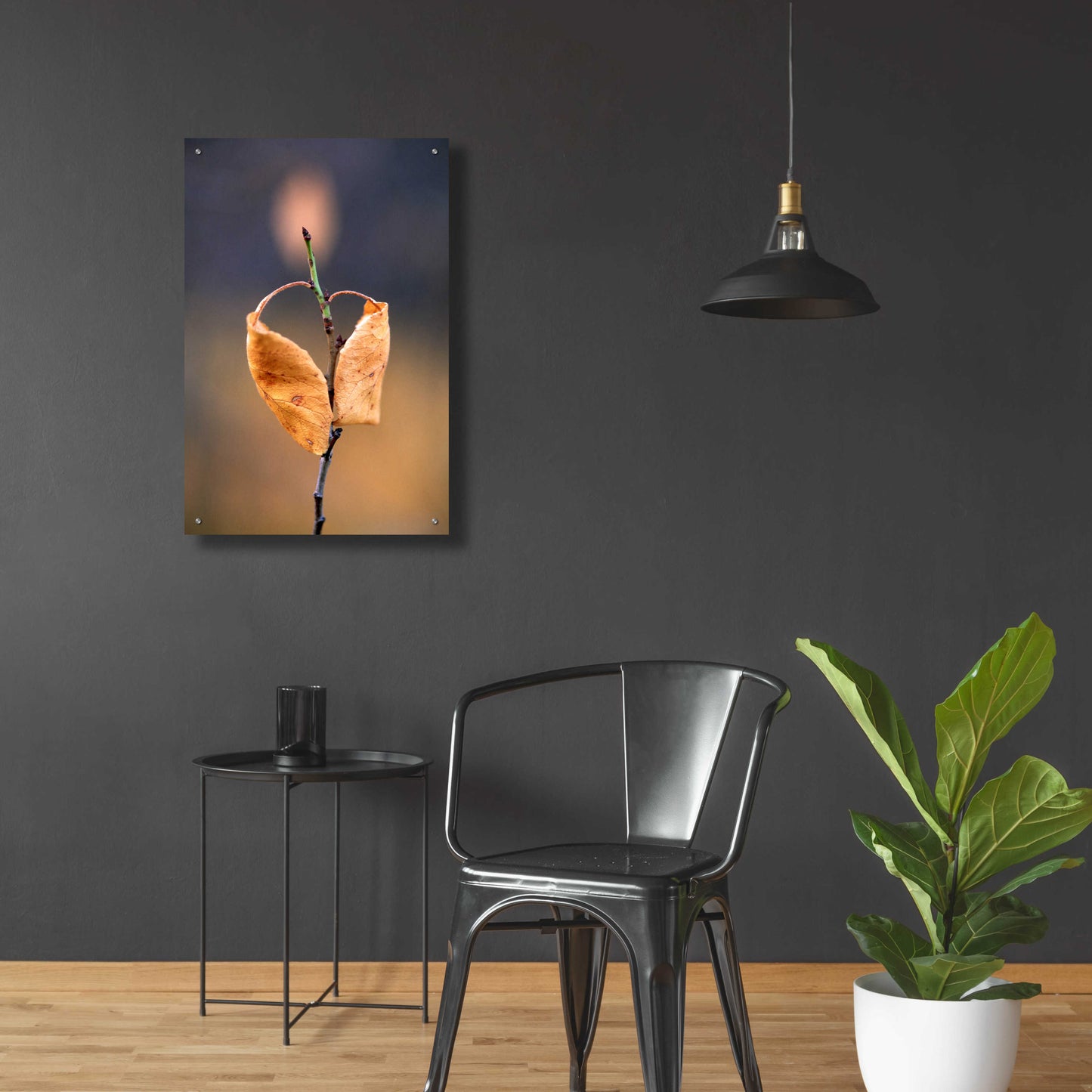 Epic Art 'Candle Plant' by Thomas Haney, Acrylic Glass Wall Art,24x36