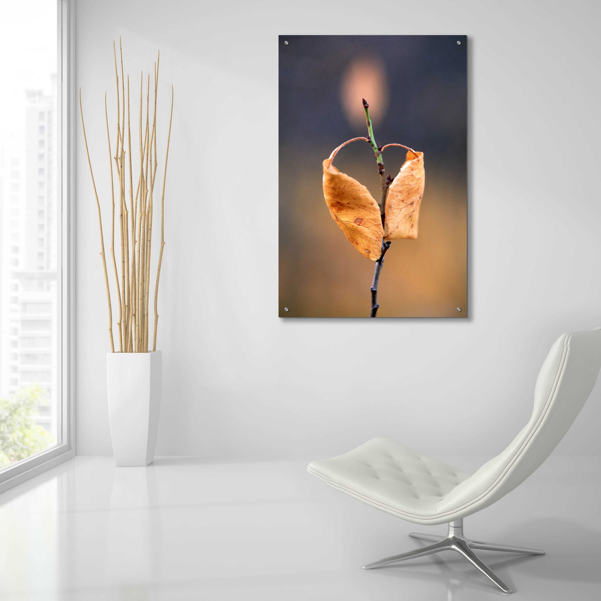 Epic Art 'Candle Plant' by Thomas Haney, Acrylic Glass Wall Art,24x36