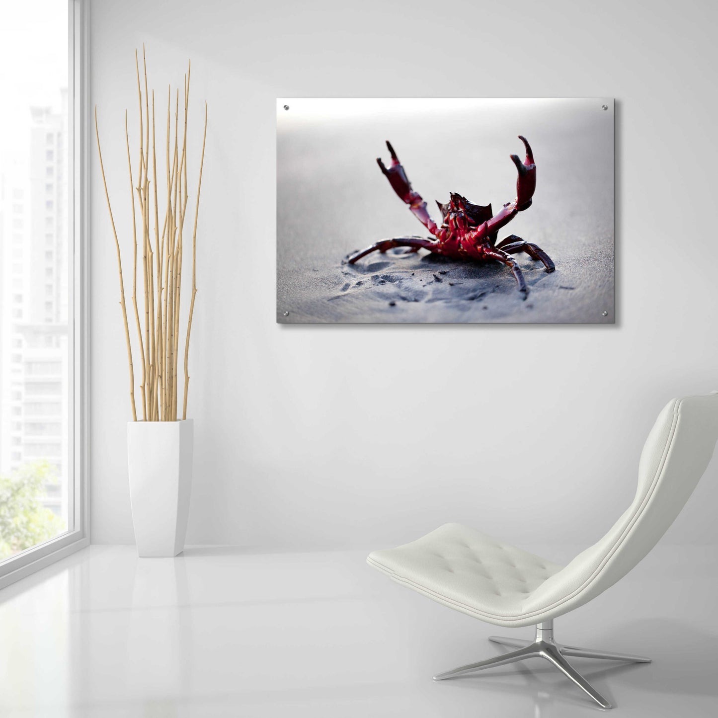 Epic Art 'Claws Up' by Thomas Haney, Acrylic Glass Wall Art,36x24