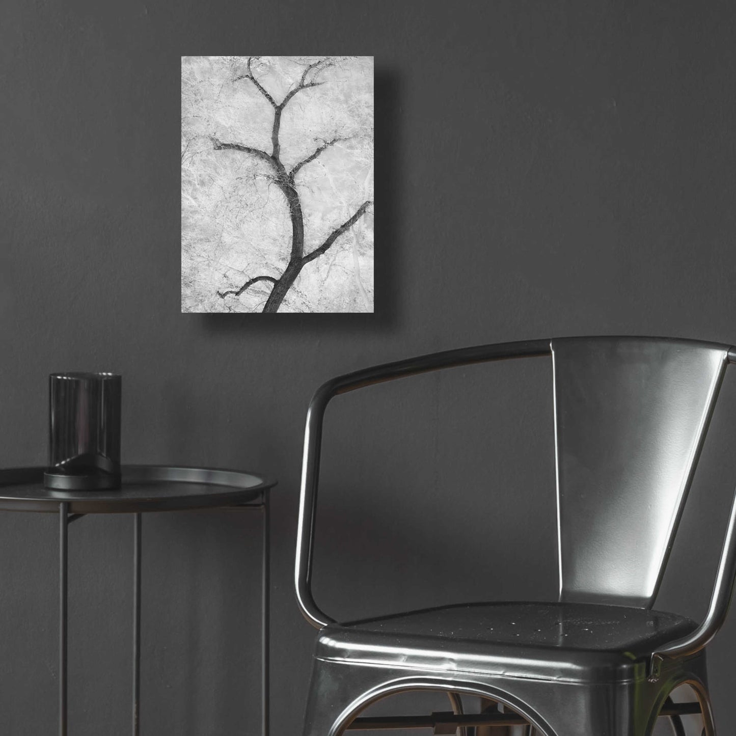 Epic Art 'Cottonwood Form B&W' by Thomas Haney, Acrylic Glass Wall Art,12x16