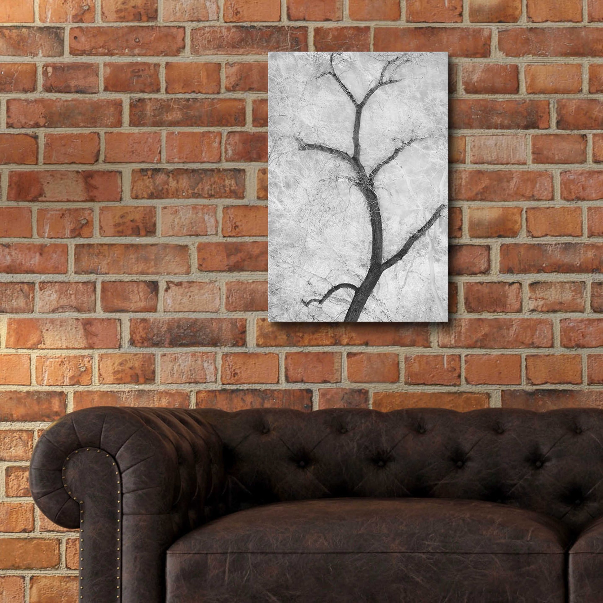 Epic Art 'Cottonwood Form B&W' by Thomas Haney, Acrylic Glass Wall Art,16x24