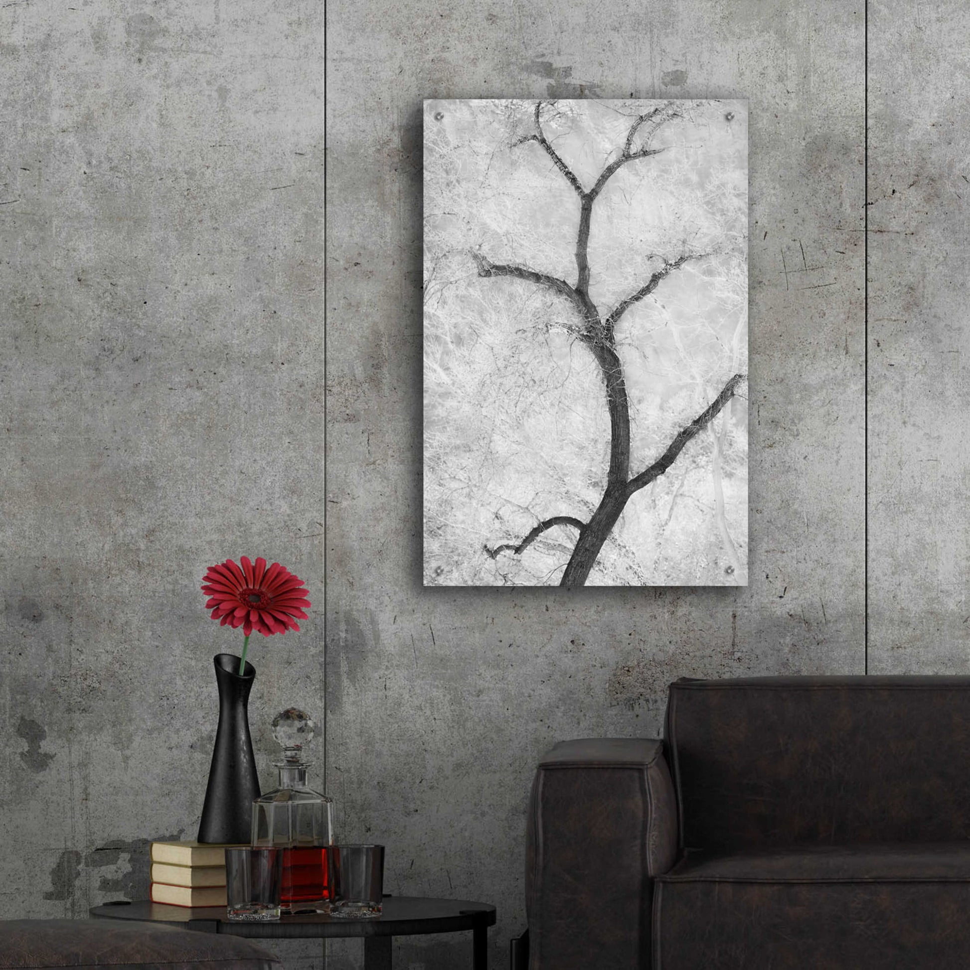 Epic Art 'Cottonwood Form B&W' by Thomas Haney, Acrylic Glass Wall Art,24x36