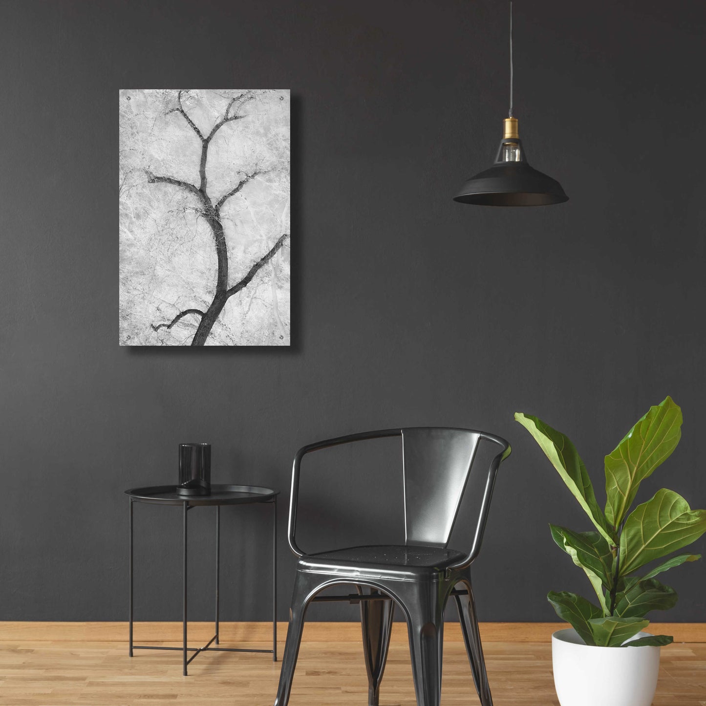 Epic Art 'Cottonwood Form B&W' by Thomas Haney, Acrylic Glass Wall Art,24x36