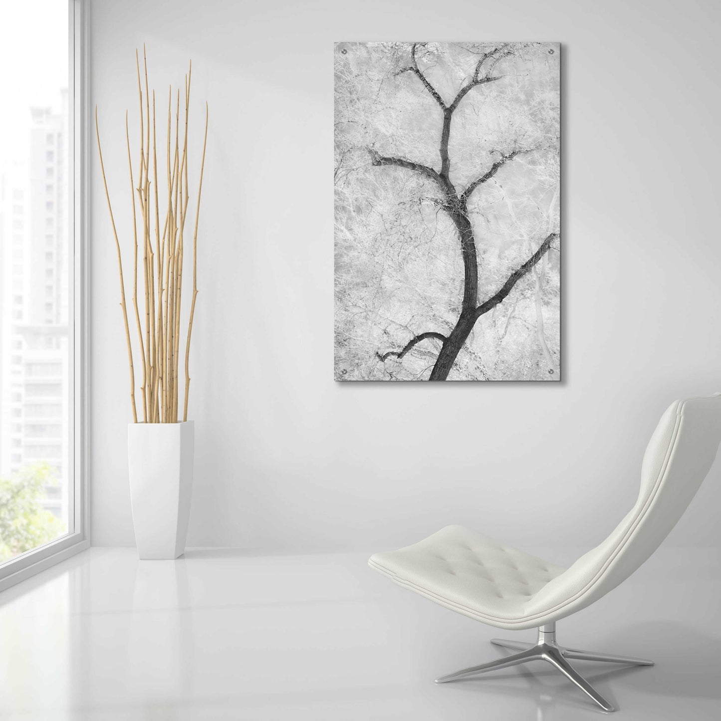 Epic Art 'Cottonwood Form B&W' by Thomas Haney, Acrylic Glass Wall Art,24x36