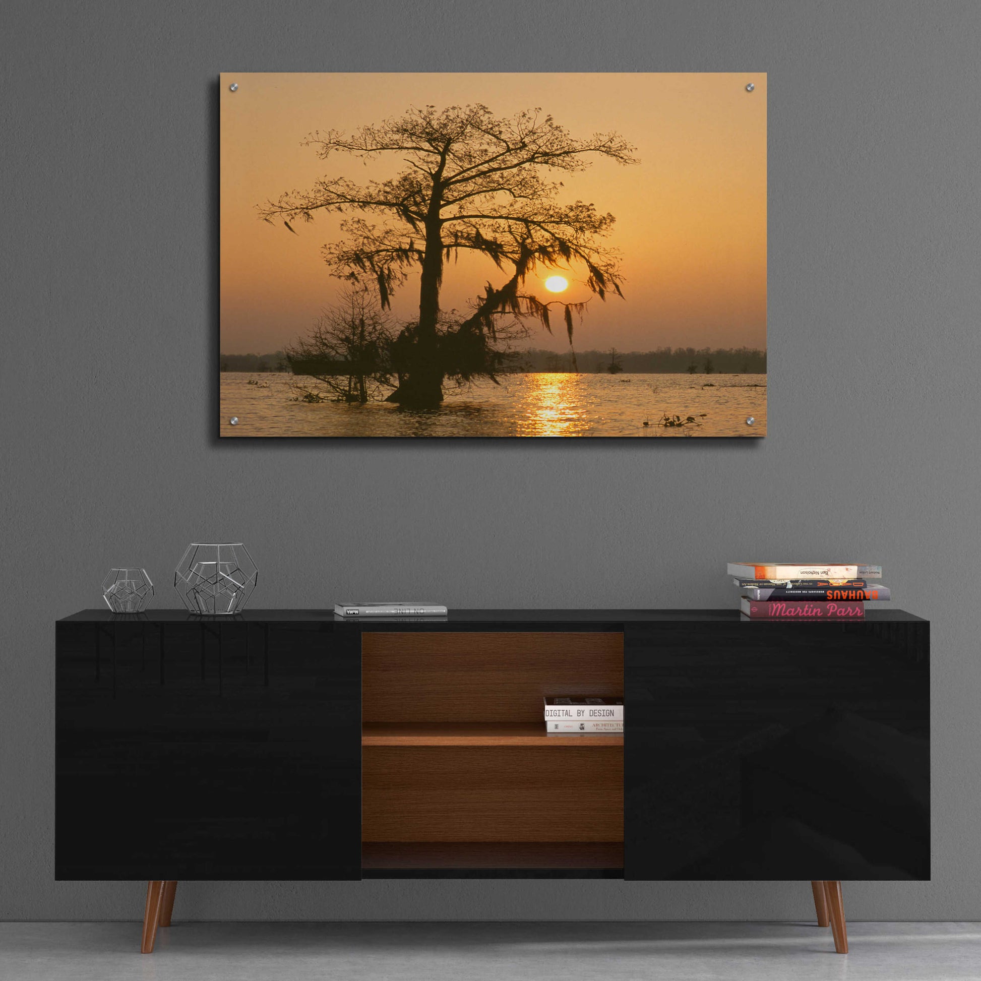 Epic Art 'Cypress Proc' by Thomas Haney, Acrylic Glass Wall Art,36x24