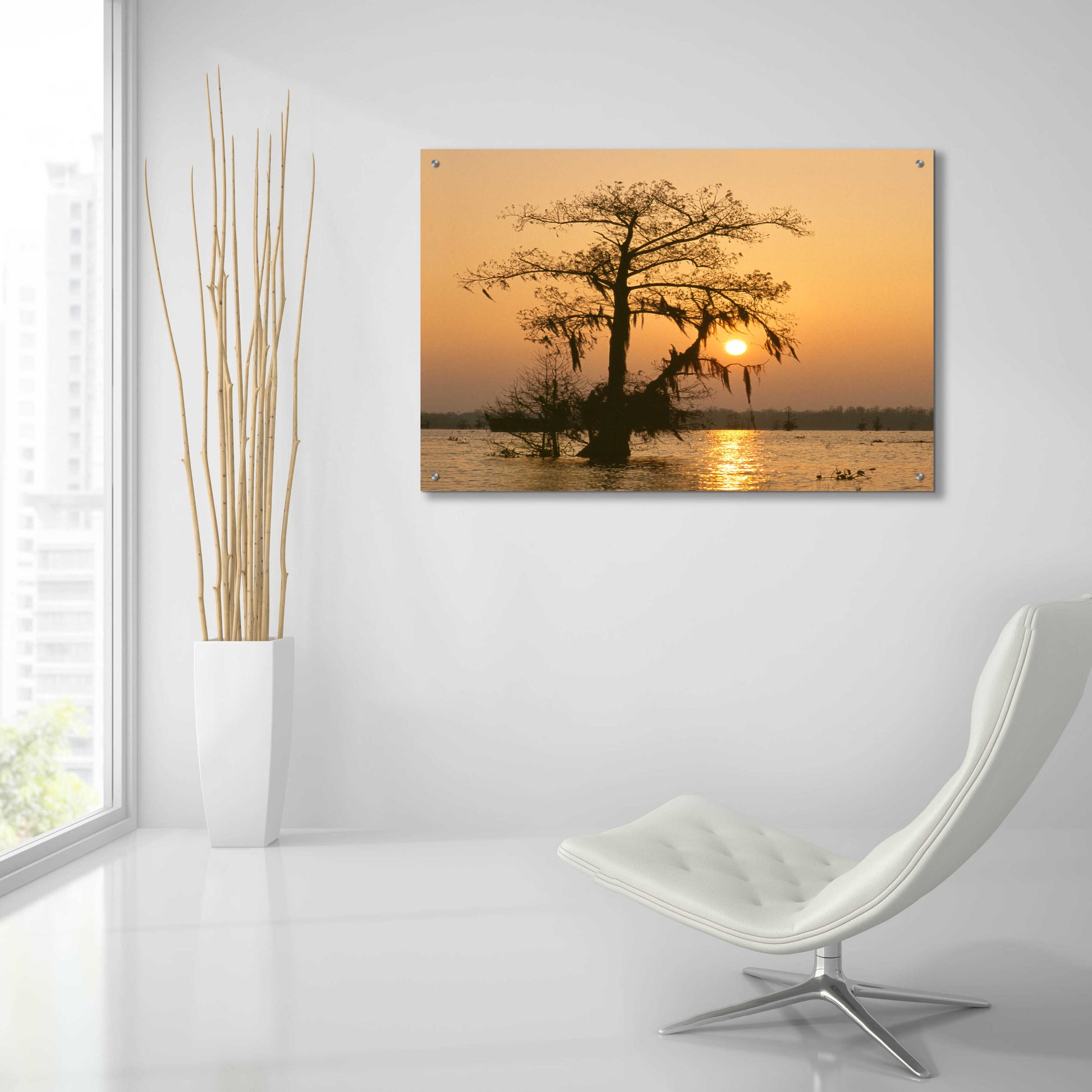 Epic Art 'Cypress Proc' by Thomas Haney, Acrylic Glass Wall Art,36x24