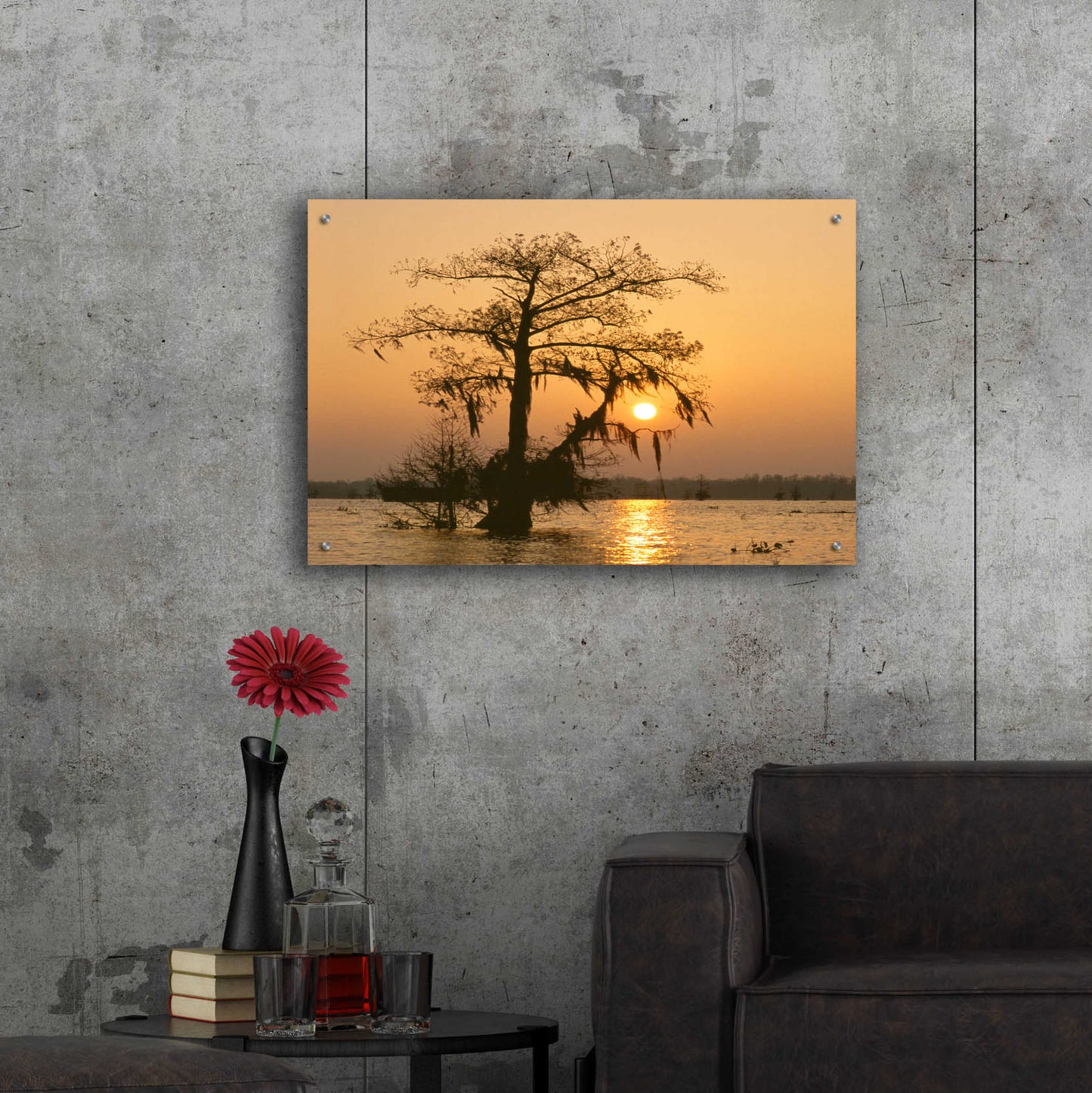 Epic Art 'Cypress Proc' by Thomas Haney, Acrylic Glass Wall Art,36x24