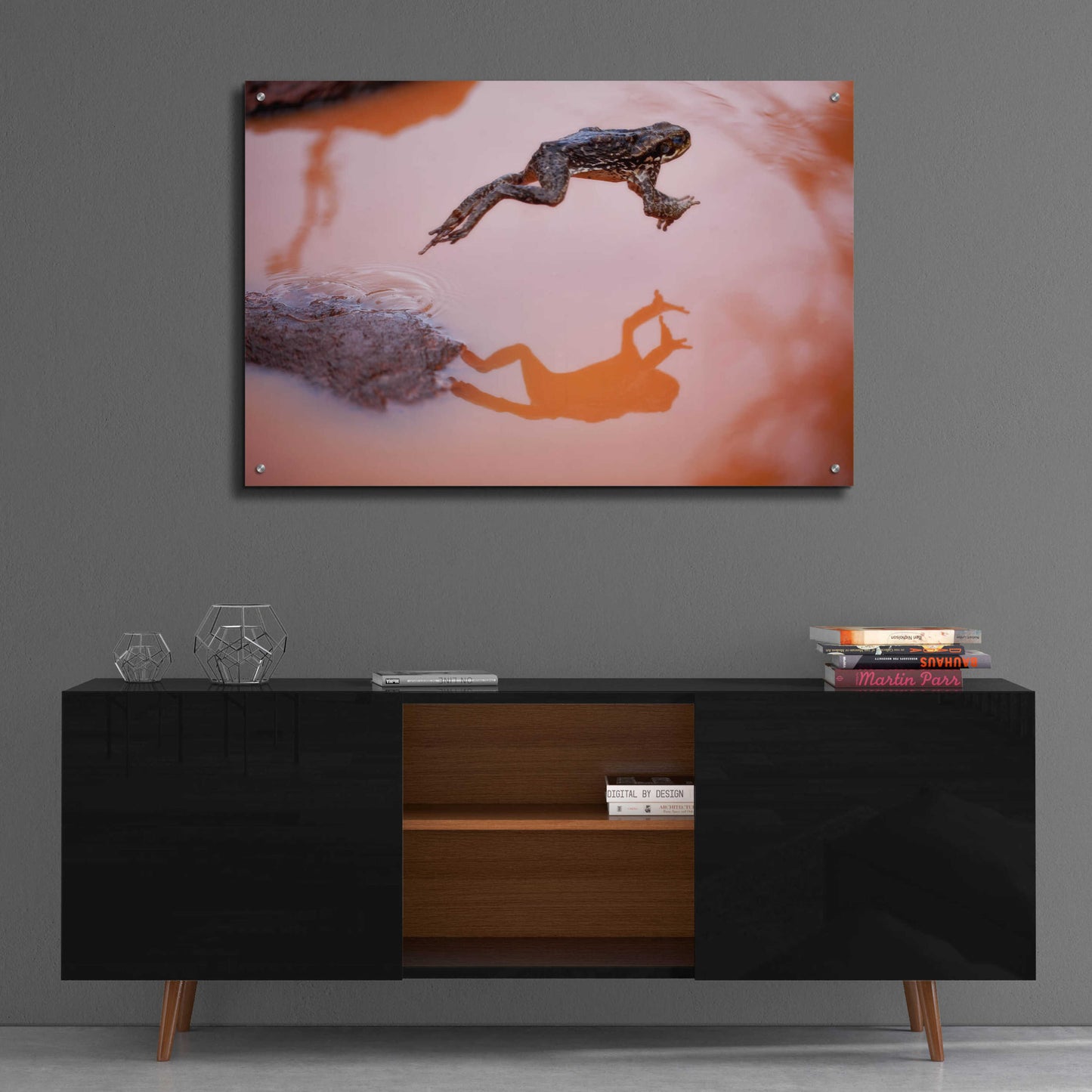 Epic Art 'Frog Jump 3' by Thomas Haney, Acrylic Glass Wall Art,36x24