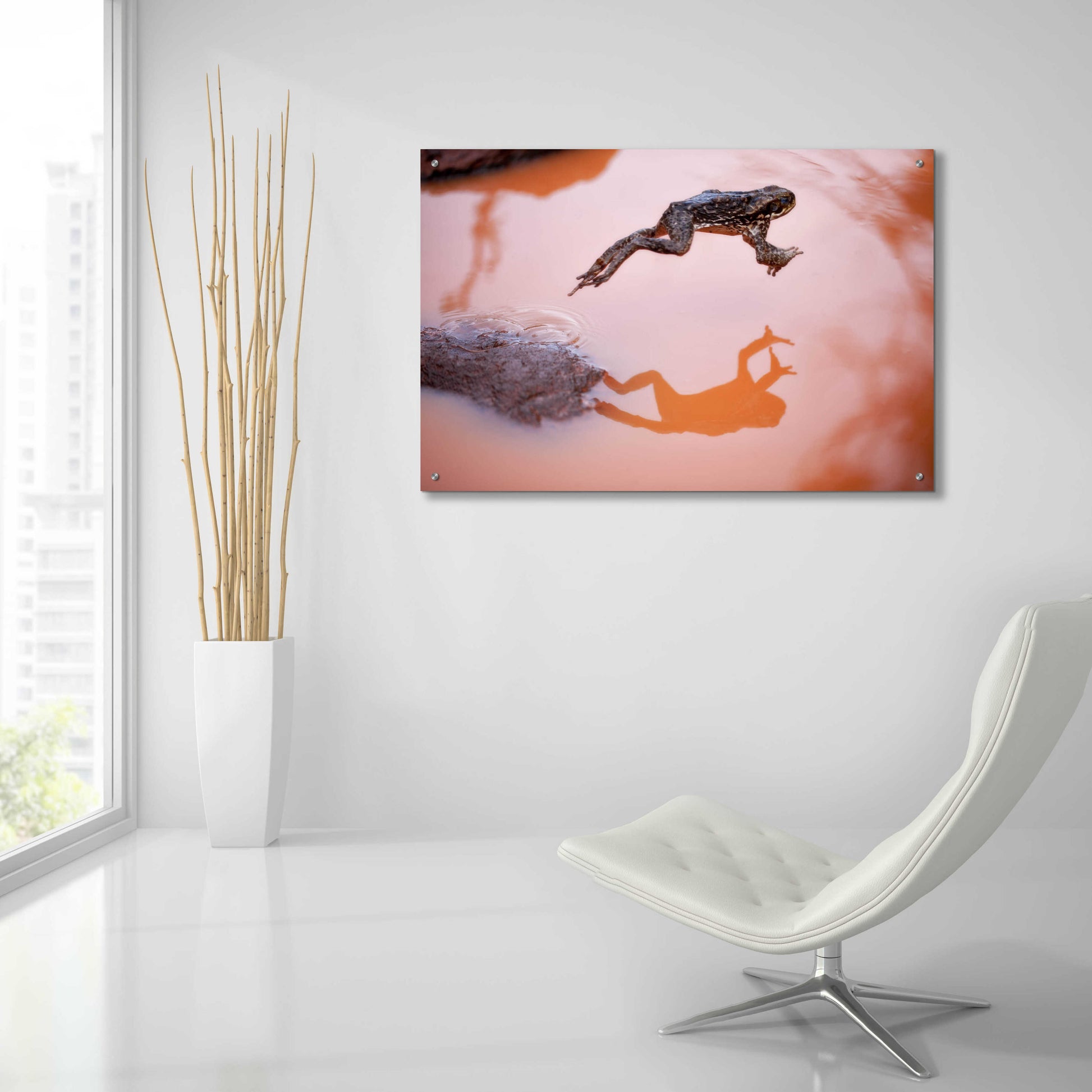 Epic Art 'Frog Jump 3' by Thomas Haney, Acrylic Glass Wall Art,36x24