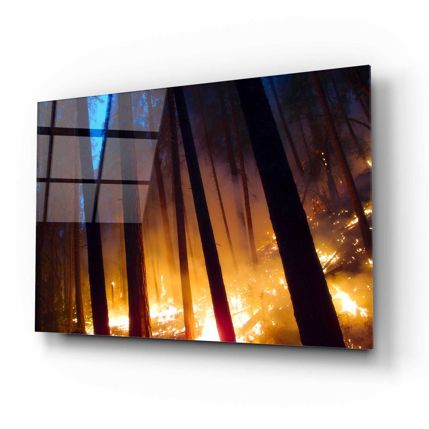 Epic Art 'Burning Forest' by Thomas Haney, Acrylic Glass Wall Art,16x12