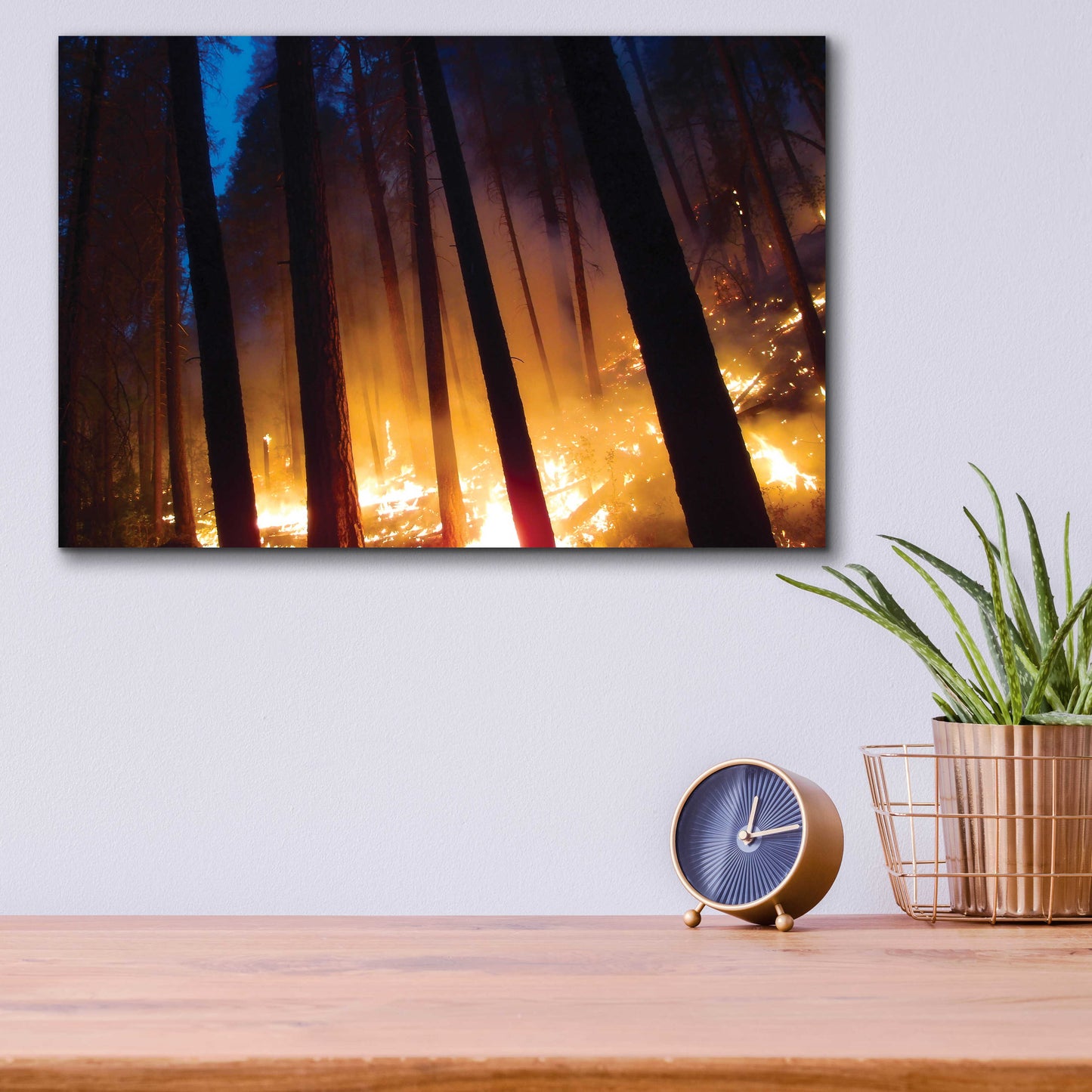 Epic Art 'Burning Forest' by Thomas Haney, Acrylic Glass Wall Art,16x12