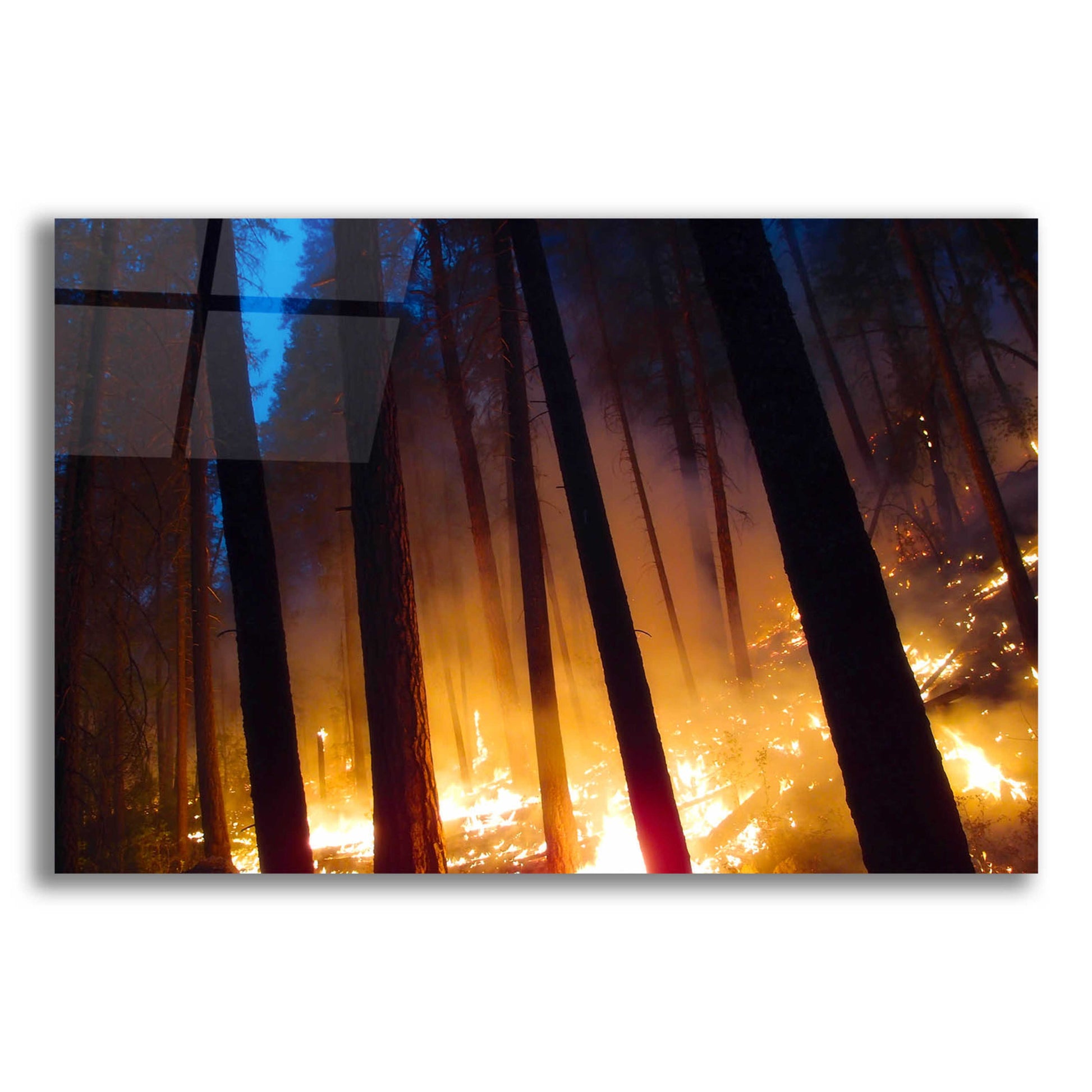 Epic Art 'Burning Forest' by Thomas Haney, Acrylic Glass Wall Art,16x12