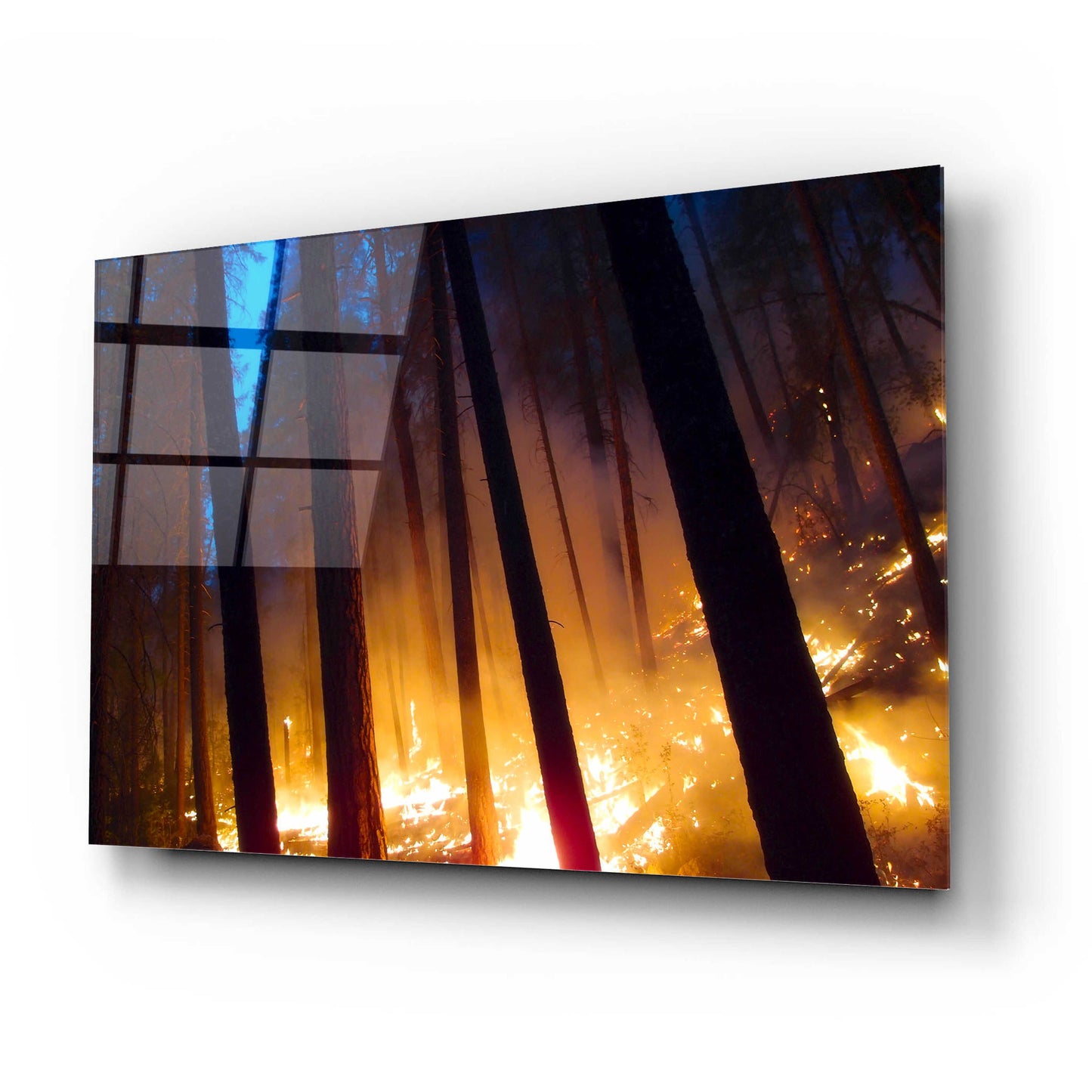 Epic Art 'Burning Forest' by Thomas Haney, Acrylic Glass Wall Art,24x16