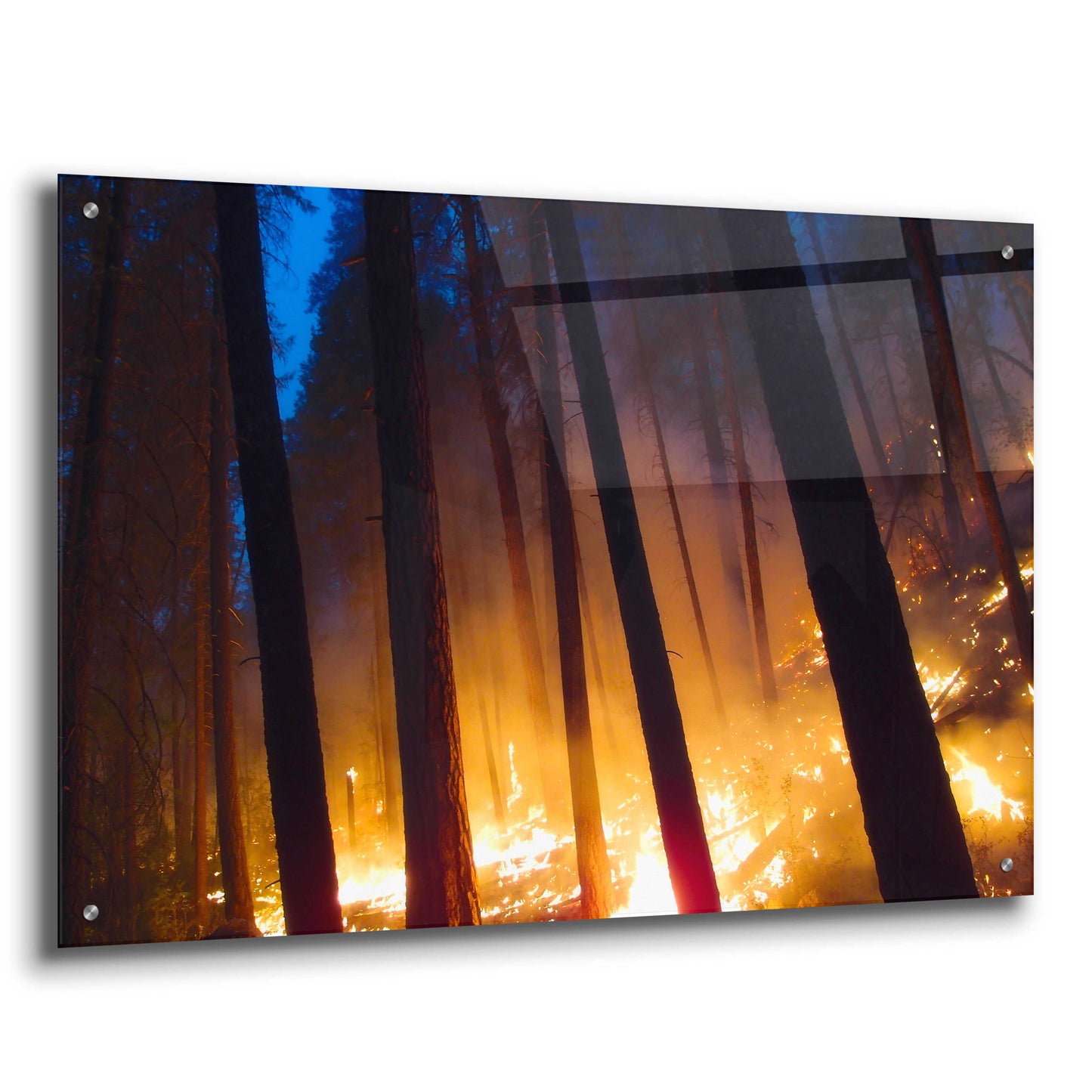 Epic Art 'Burning Forest' by Thomas Haney, Acrylic Glass Wall Art,36x24