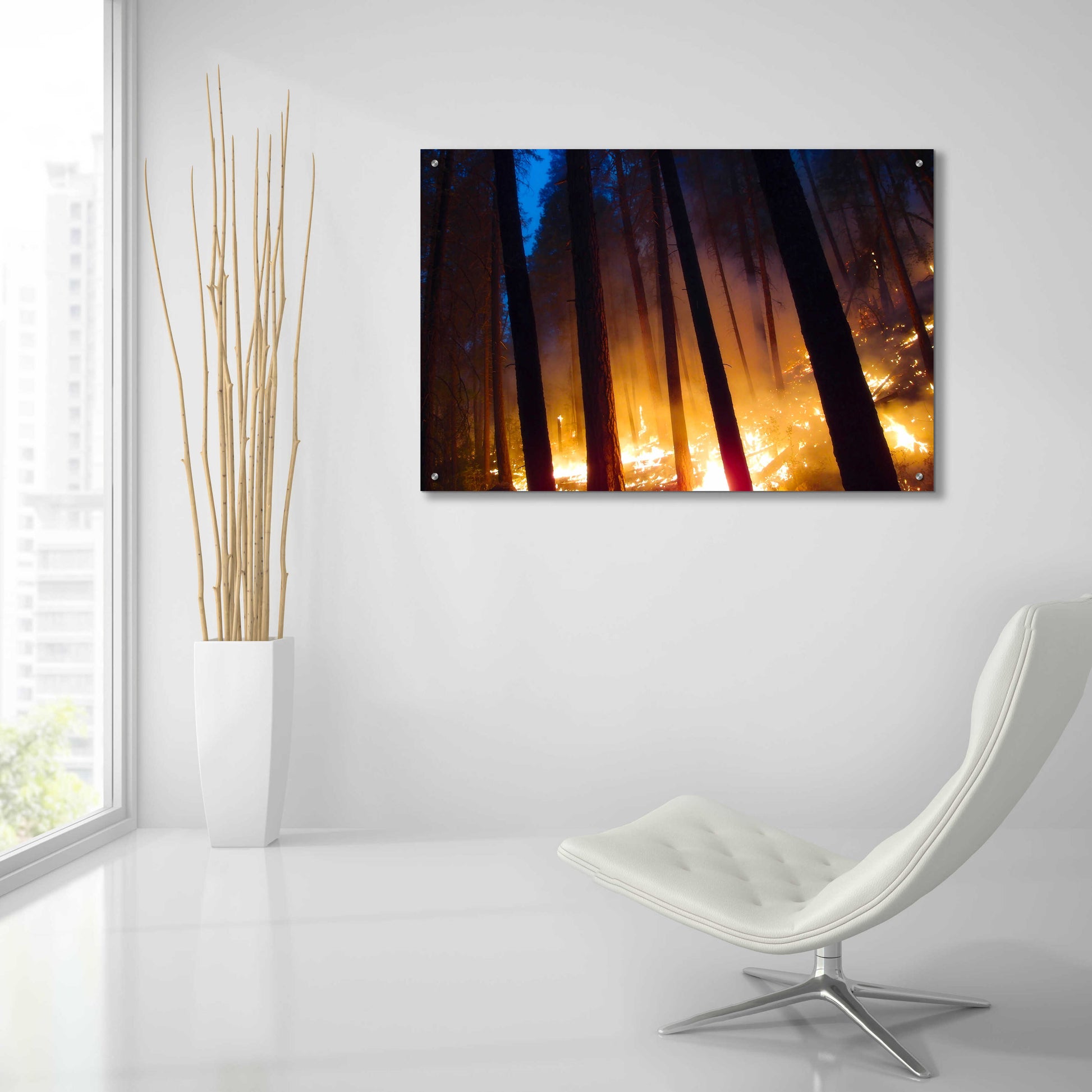 Epic Art 'Burning Forest' by Thomas Haney, Acrylic Glass Wall Art,36x24