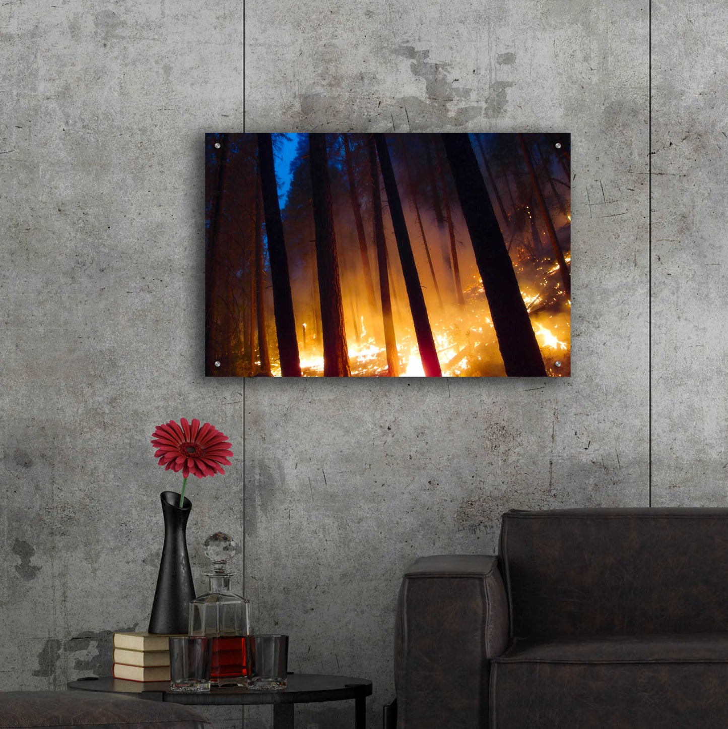 Epic Art 'Burning Forest' by Thomas Haney, Acrylic Glass Wall Art,36x24