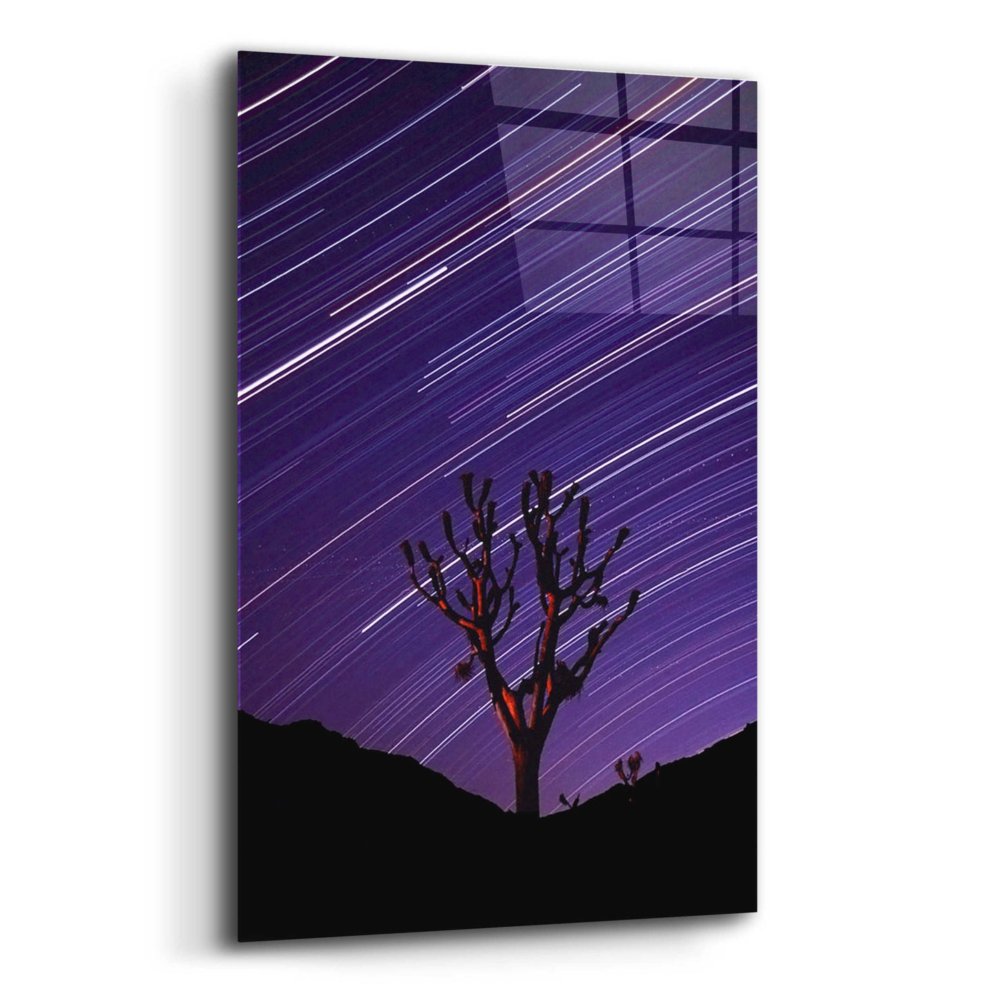 Epic Art 'Joshua Tree Brilliant Stars 2' by Thomas Haney, Acrylic Glass Wall Art,12x16