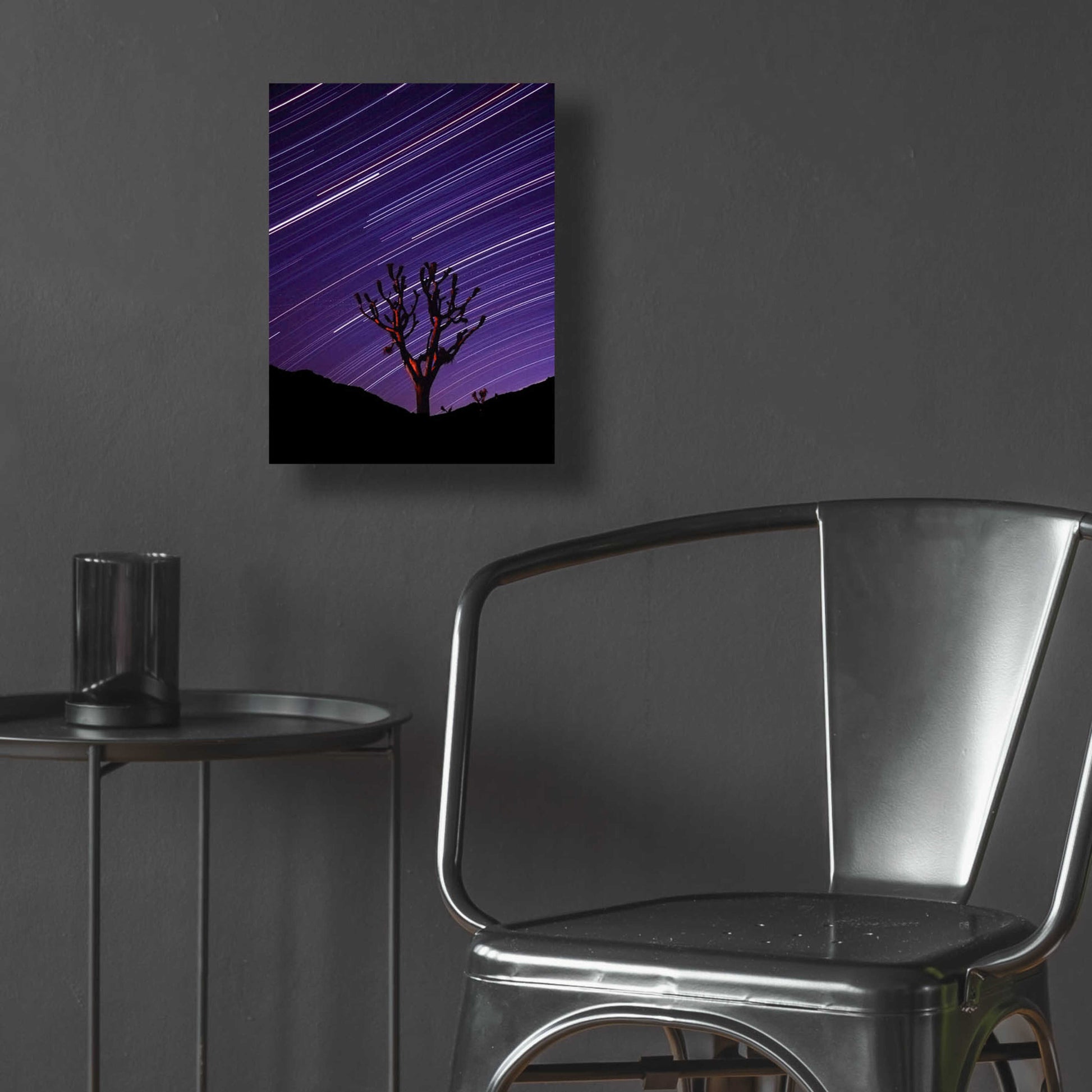 Epic Art 'Joshua Tree Brilliant Stars 2' by Thomas Haney, Acrylic Glass Wall Art,12x16