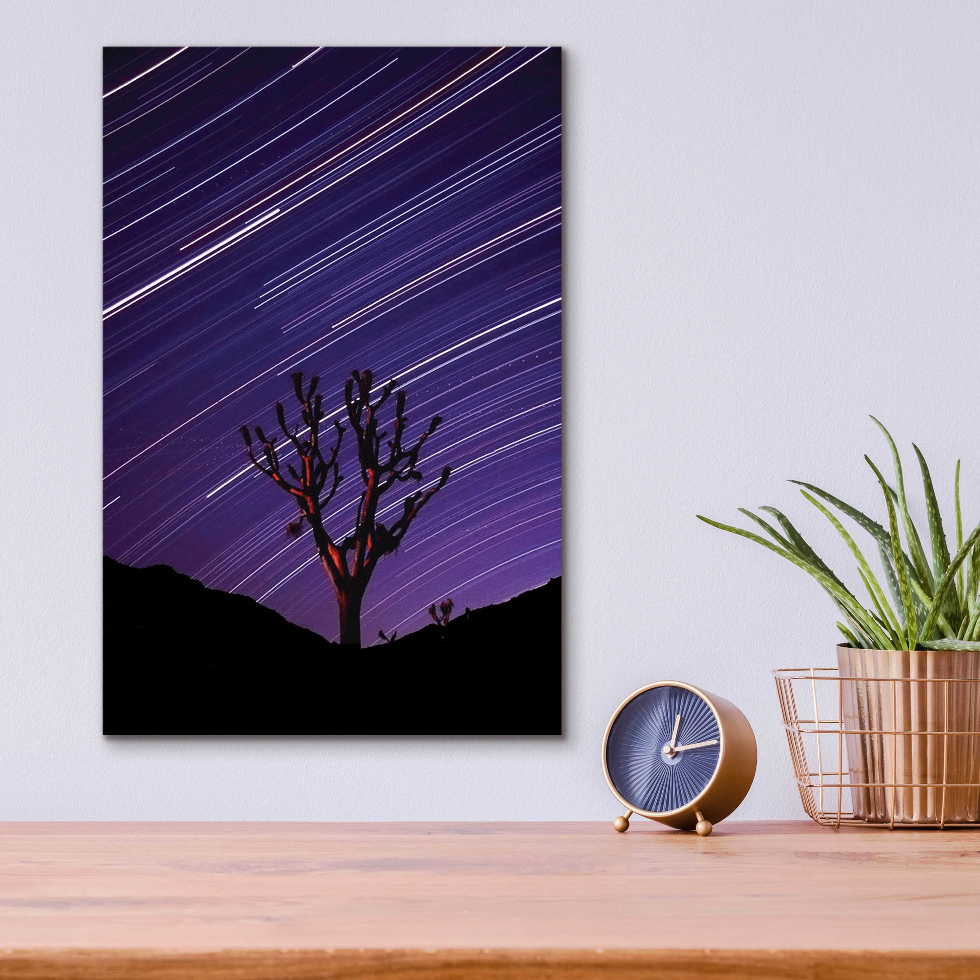 Epic Art 'Joshua Tree Brilliant Stars 2' by Thomas Haney, Acrylic Glass Wall Art,12x16