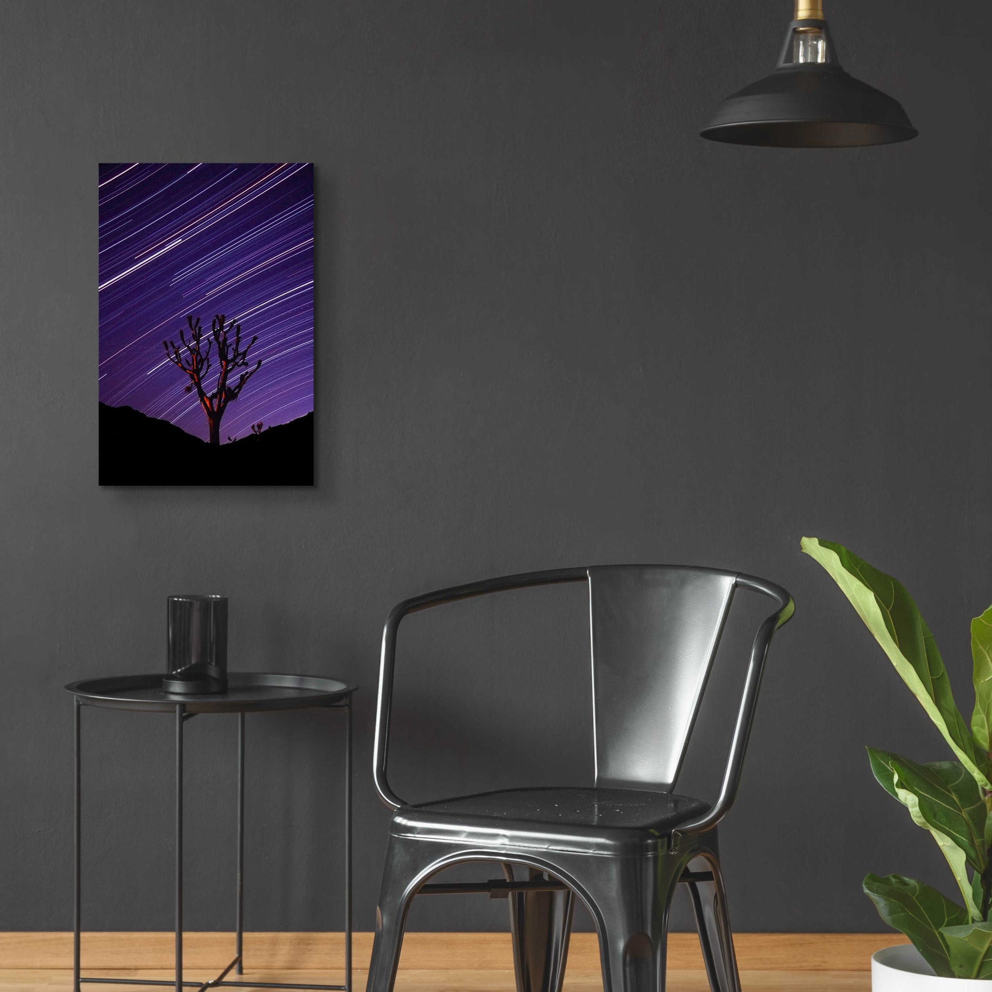 Epic Art 'Joshua Tree Brilliant Stars 2' by Thomas Haney, Acrylic Glass Wall Art,16x24