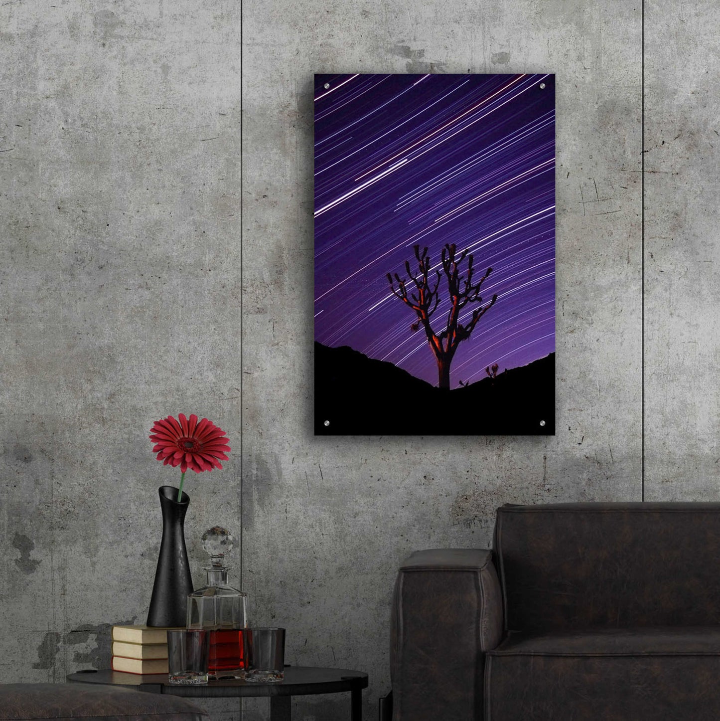 Epic Art 'Joshua Tree Brilliant Stars 2' by Thomas Haney, Acrylic Glass Wall Art,24x36