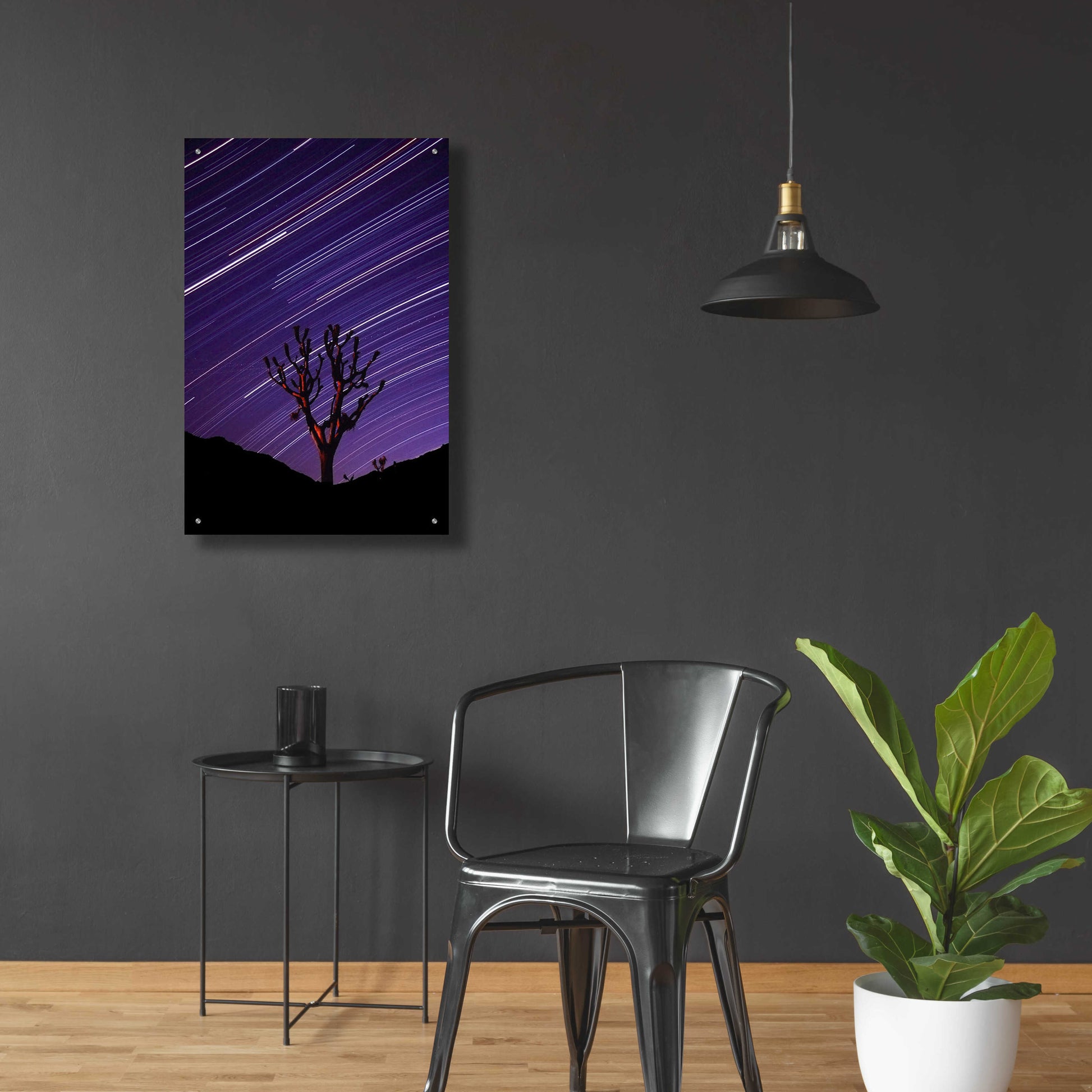 Epic Art 'Joshua Tree Brilliant Stars 2' by Thomas Haney, Acrylic Glass Wall Art,24x36