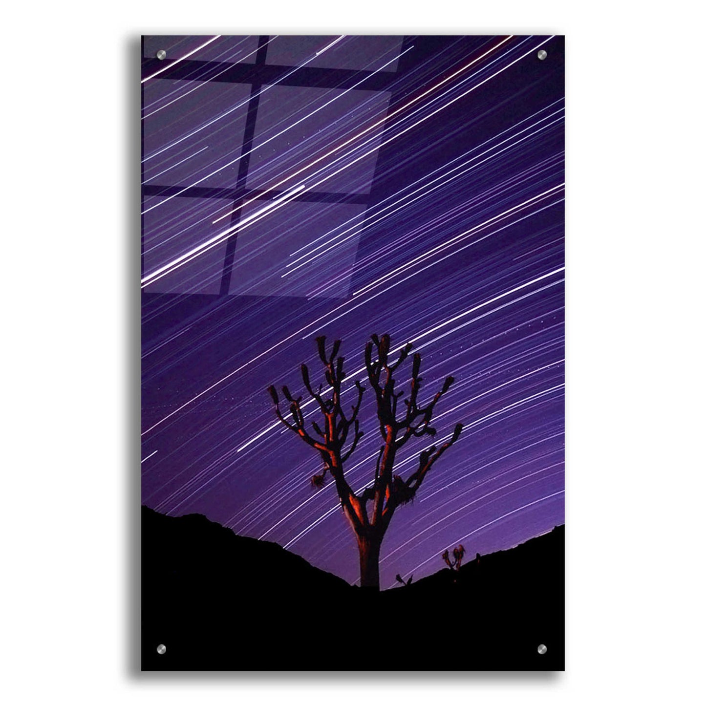 Epic Art 'Joshua Tree Brilliant Stars 2' by Thomas Haney, Acrylic Glass Wall Art,24x36