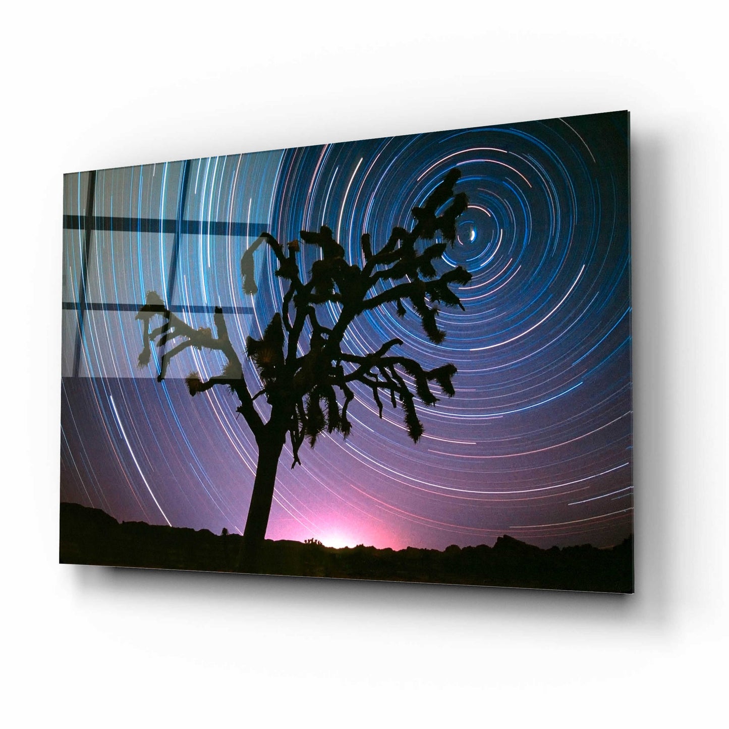 Epic Art 'Joshua Tree North Star Proc' by Thomas Haney, Acrylic Glass Wall Art,16x12