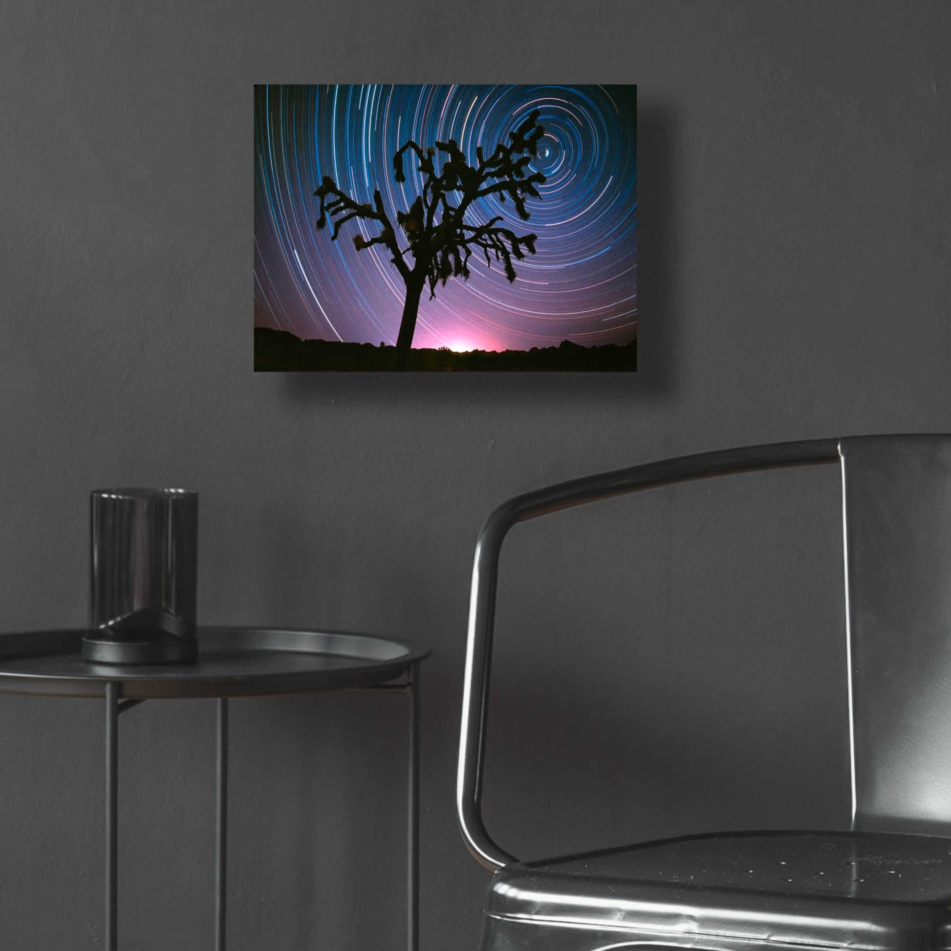 Epic Art 'Joshua Tree North Star Proc' by Thomas Haney, Acrylic Glass Wall Art,16x12