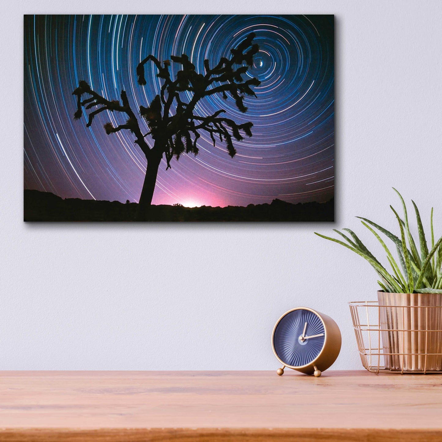 Epic Art 'Joshua Tree North Star Proc' by Thomas Haney, Acrylic Glass Wall Art,16x12