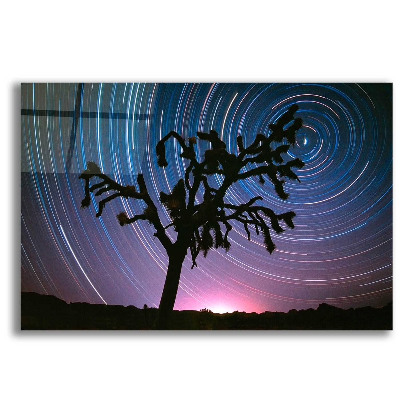 Epic Art 'Joshua Tree North Star Proc' by Thomas Haney, Acrylic Glass Wall Art,16x12