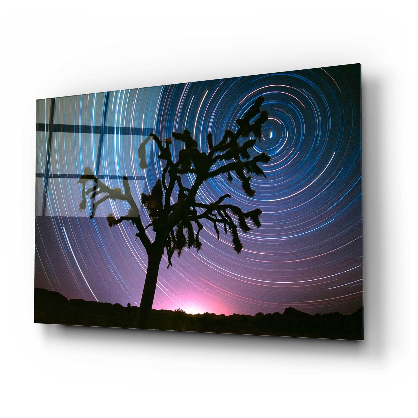 Epic Art 'Joshua Tree North Star Proc' by Thomas Haney, Acrylic Glass Wall Art,24x16