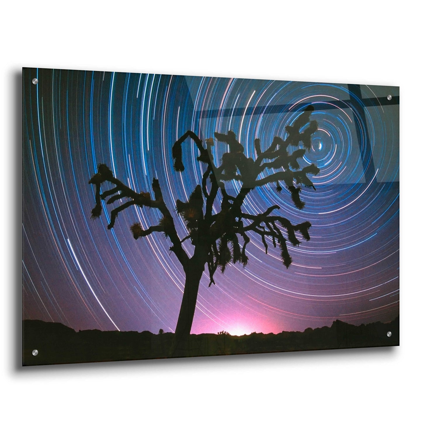 Epic Art 'Joshua Tree North Star Proc' by Thomas Haney, Acrylic Glass Wall Art,36x24