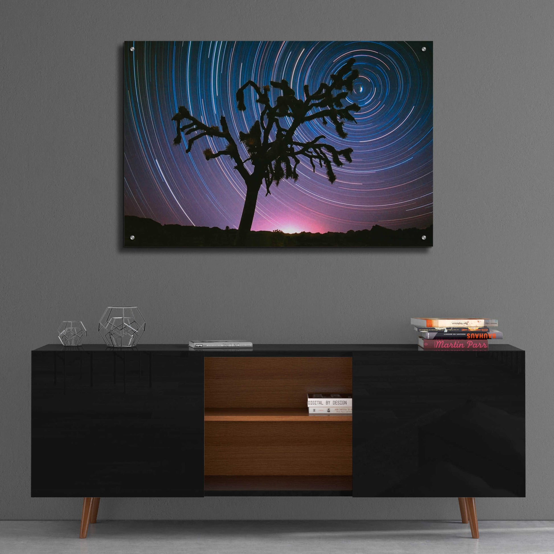 Epic Art 'Joshua Tree North Star Proc' by Thomas Haney, Acrylic Glass Wall Art,36x24