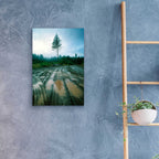 Epic Art 'Lonefir' by Thomas Haney, Acrylic Glass Wall Art,16x24