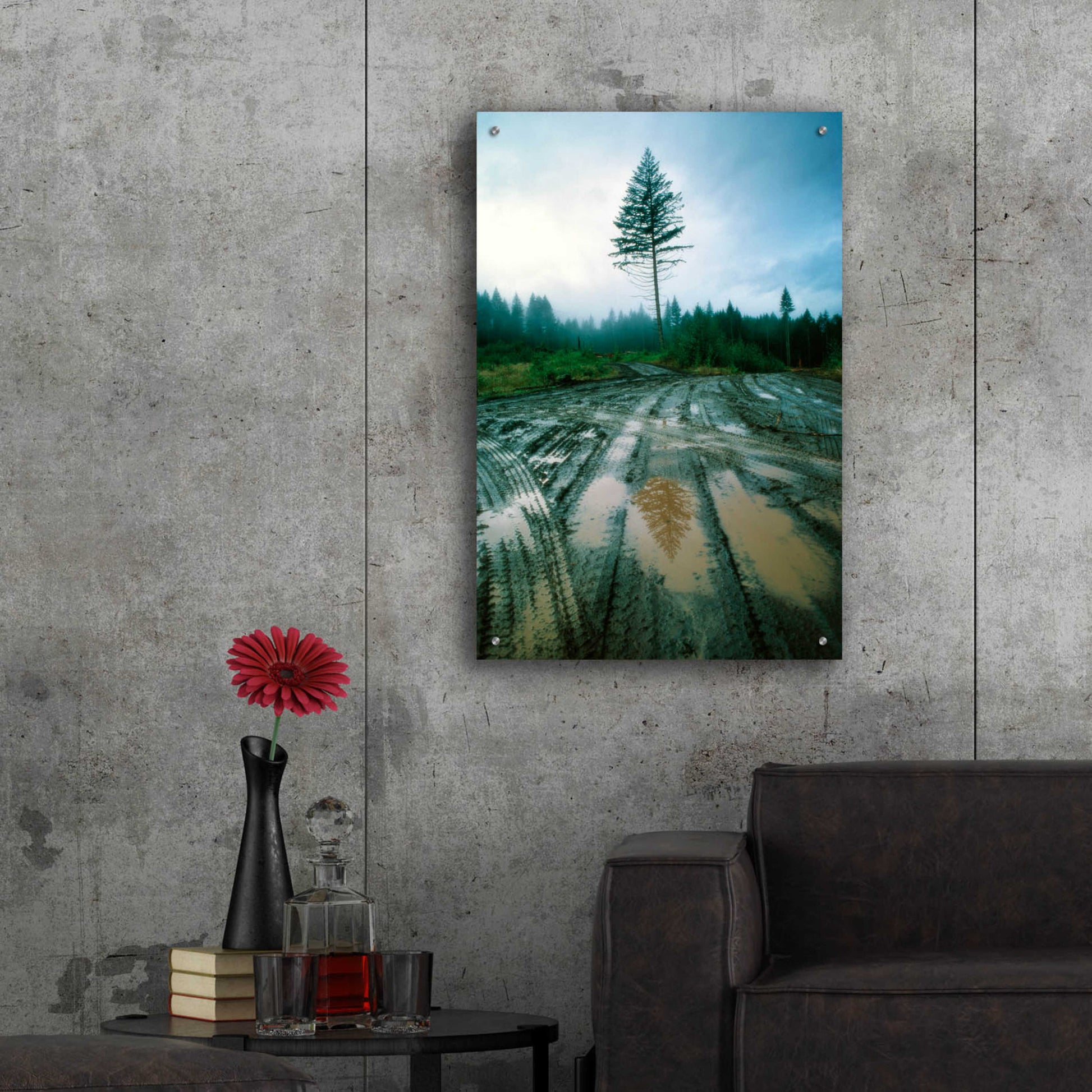 Epic Art 'Lonefir' by Thomas Haney, Acrylic Glass Wall Art,24x36