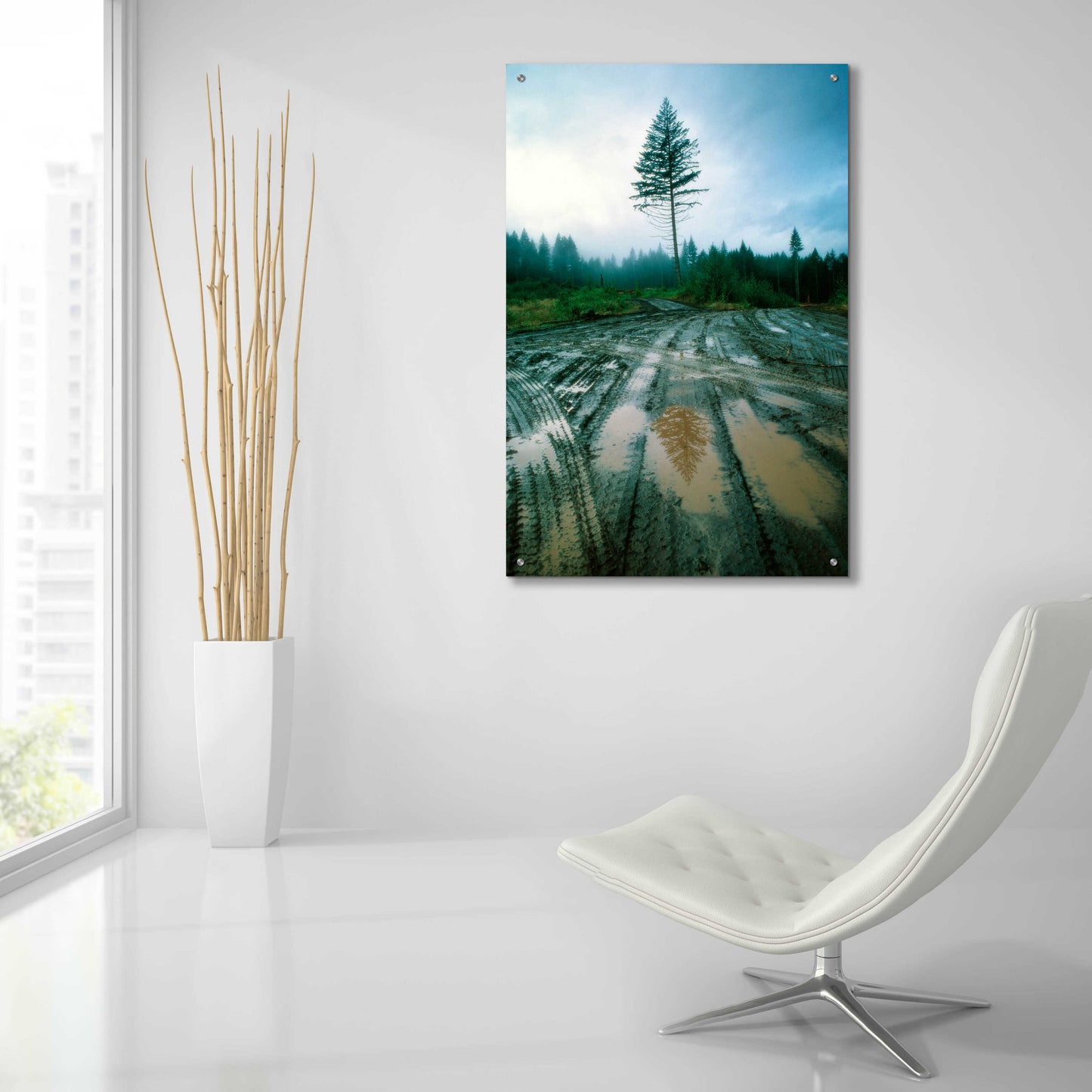 Epic Art 'Lonefir' by Thomas Haney, Acrylic Glass Wall Art,24x36