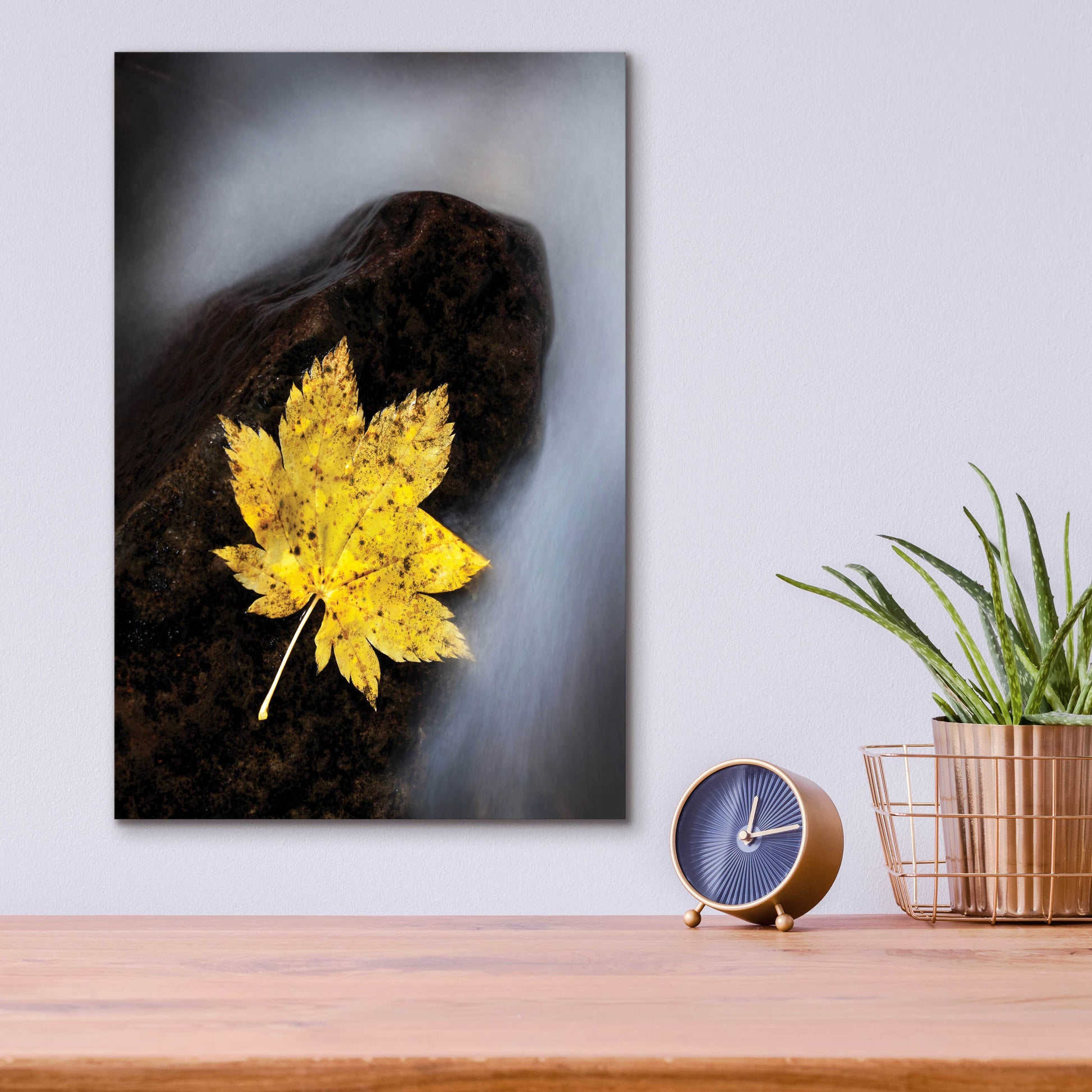 Epic Art 'Maple Leaf Stranded' by Thomas Haney, Acrylic Glass Wall Art,12x16