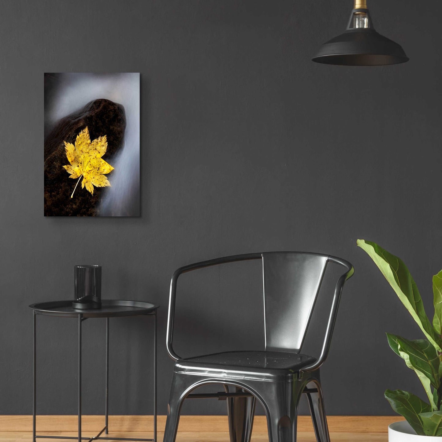 Epic Art 'Maple Leaf Stranded' by Thomas Haney, Acrylic Glass Wall Art,16x24