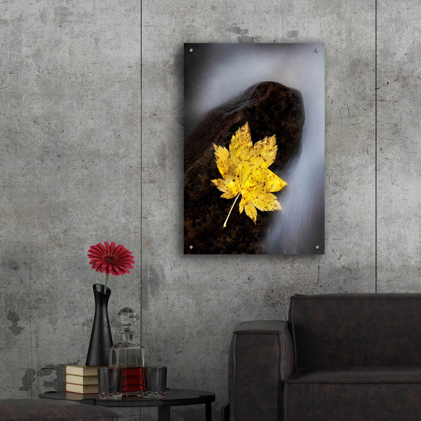 Epic Art 'Maple Leaf Stranded' by Thomas Haney, Acrylic Glass Wall Art,24x36