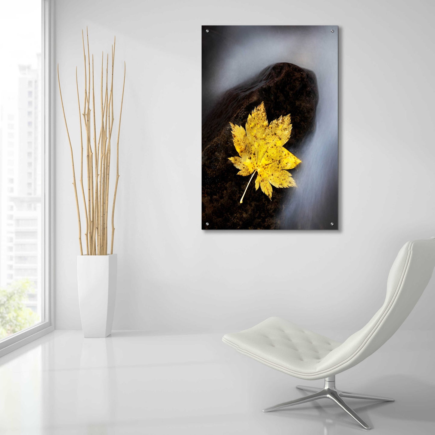 Epic Art 'Maple Leaf Stranded' by Thomas Haney, Acrylic Glass Wall Art,24x36