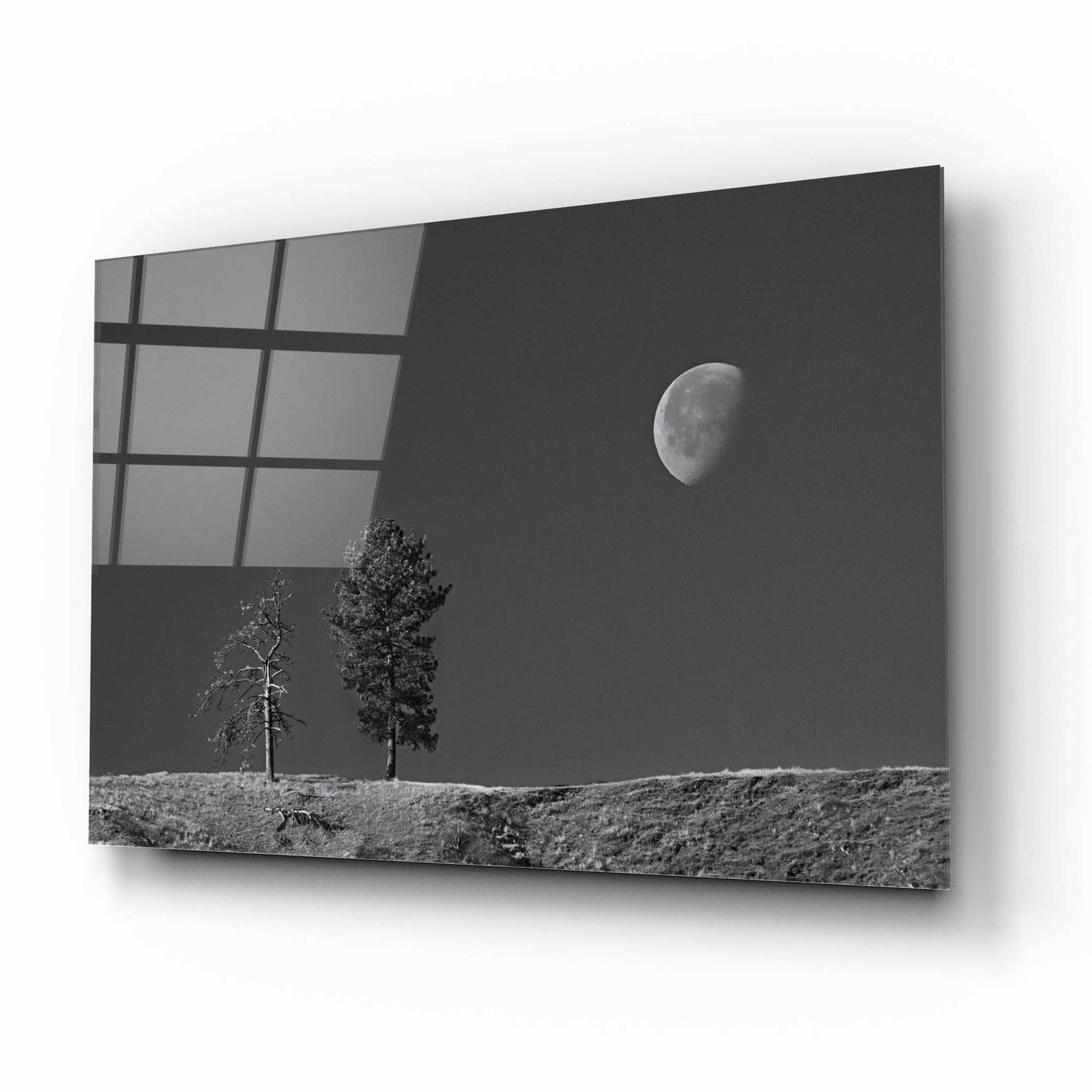 Epic Art 'Moon Trees Hill' by Thomas Haney, Acrylic Glass Wall Art,16x12