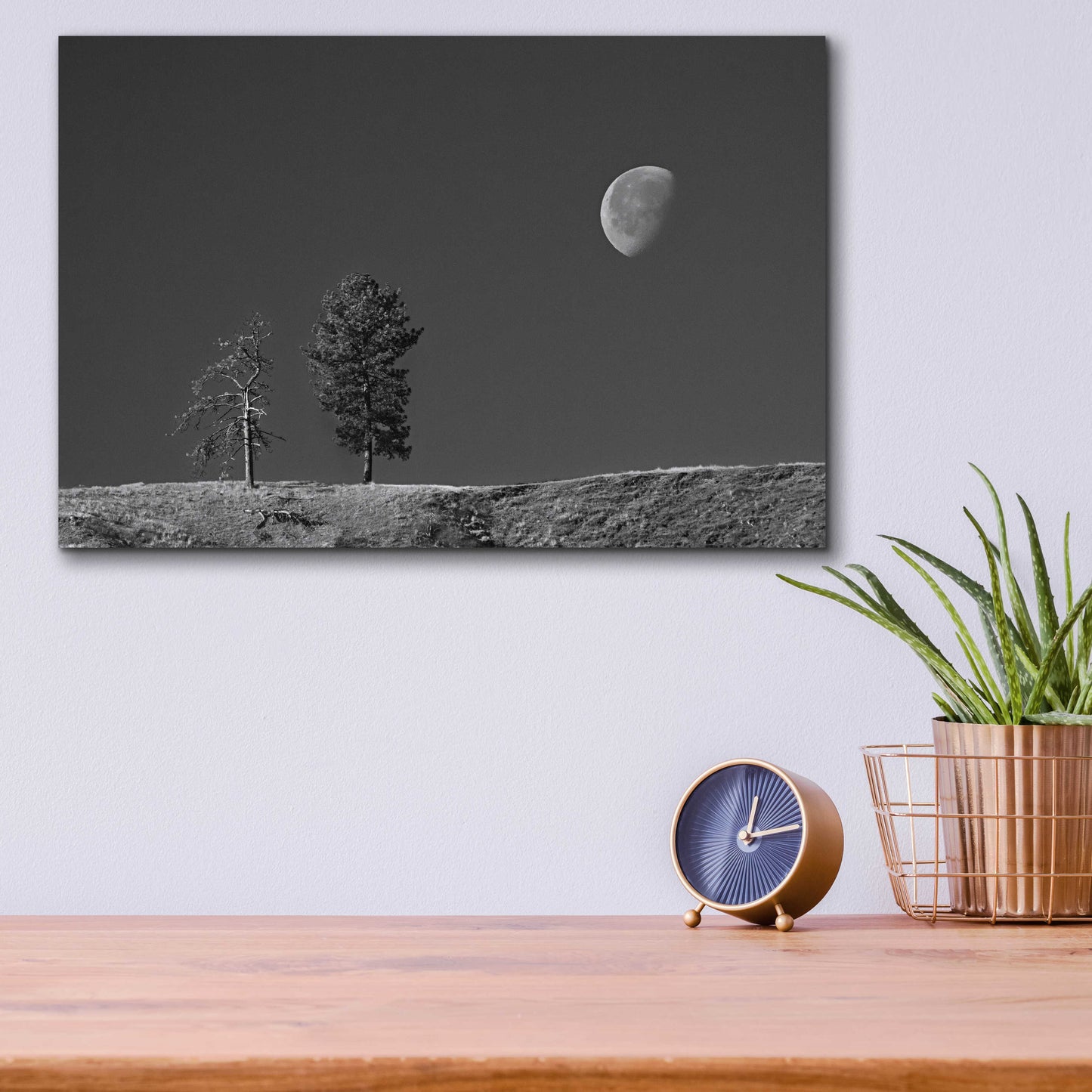 Epic Art 'Moon Trees Hill' by Thomas Haney, Acrylic Glass Wall Art,16x12