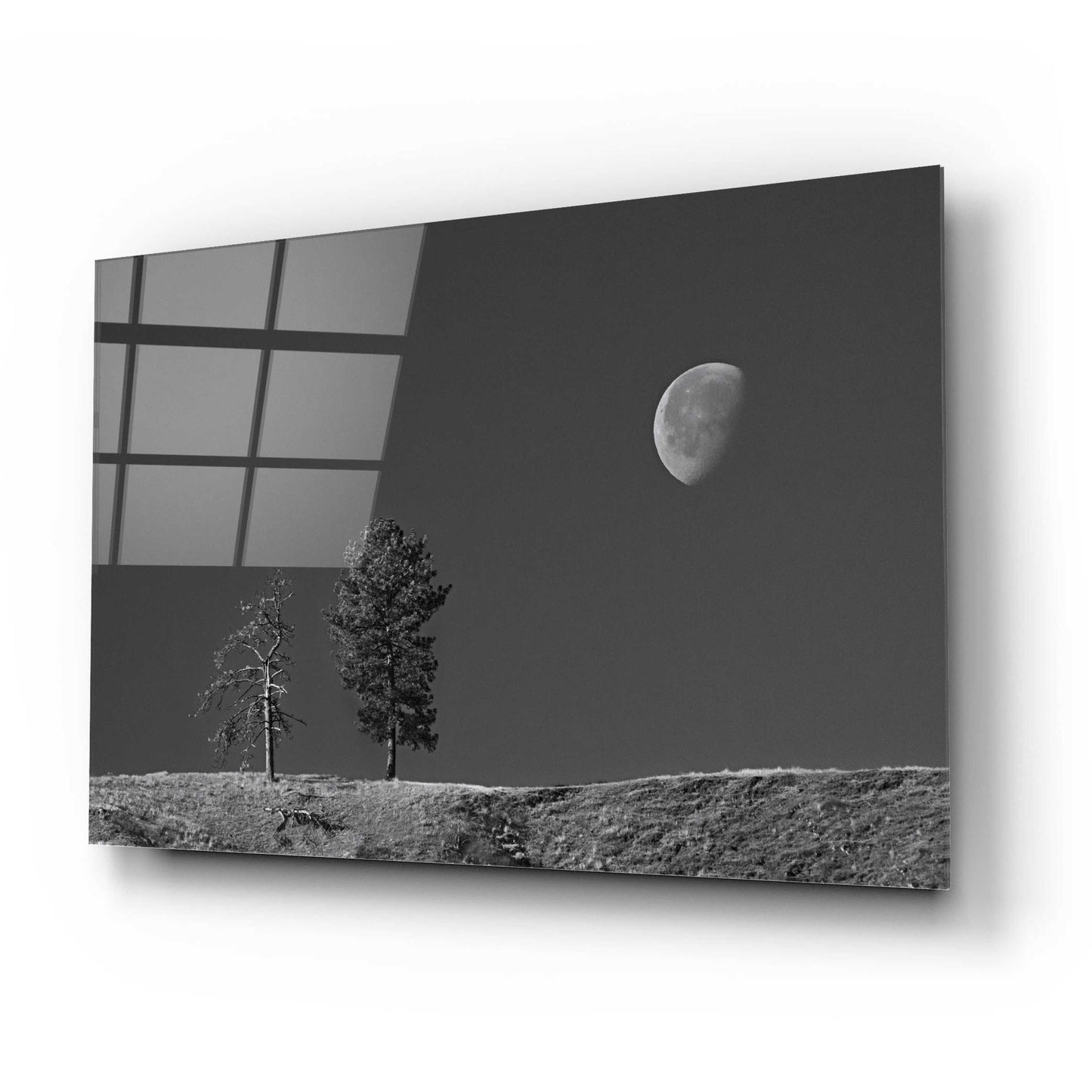 Epic Art 'Moon Trees Hill' by Thomas Haney, Acrylic Glass Wall Art,24x16